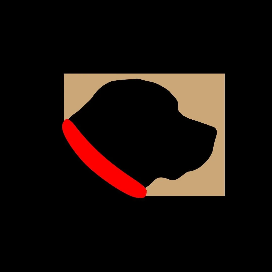 The inspiration behind our logo: our English Lab, Rip 🤠

#rangeleyme #rangeley #carpentry #westernmaine