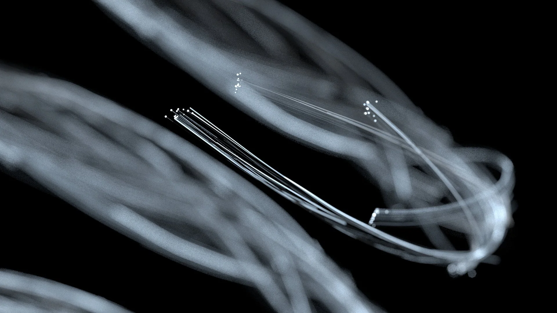 sh04_v06_00_dof025.jpg