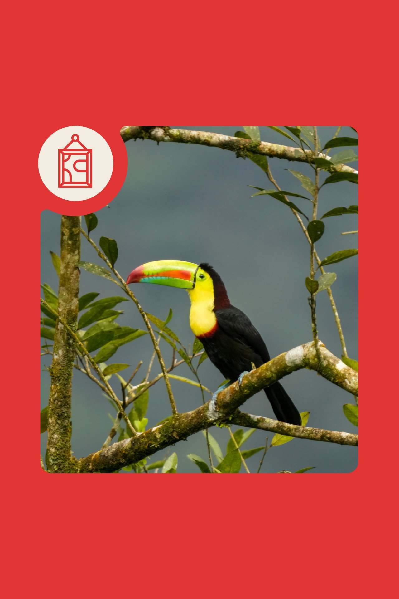 Artist Reception with Gail Suberbielle