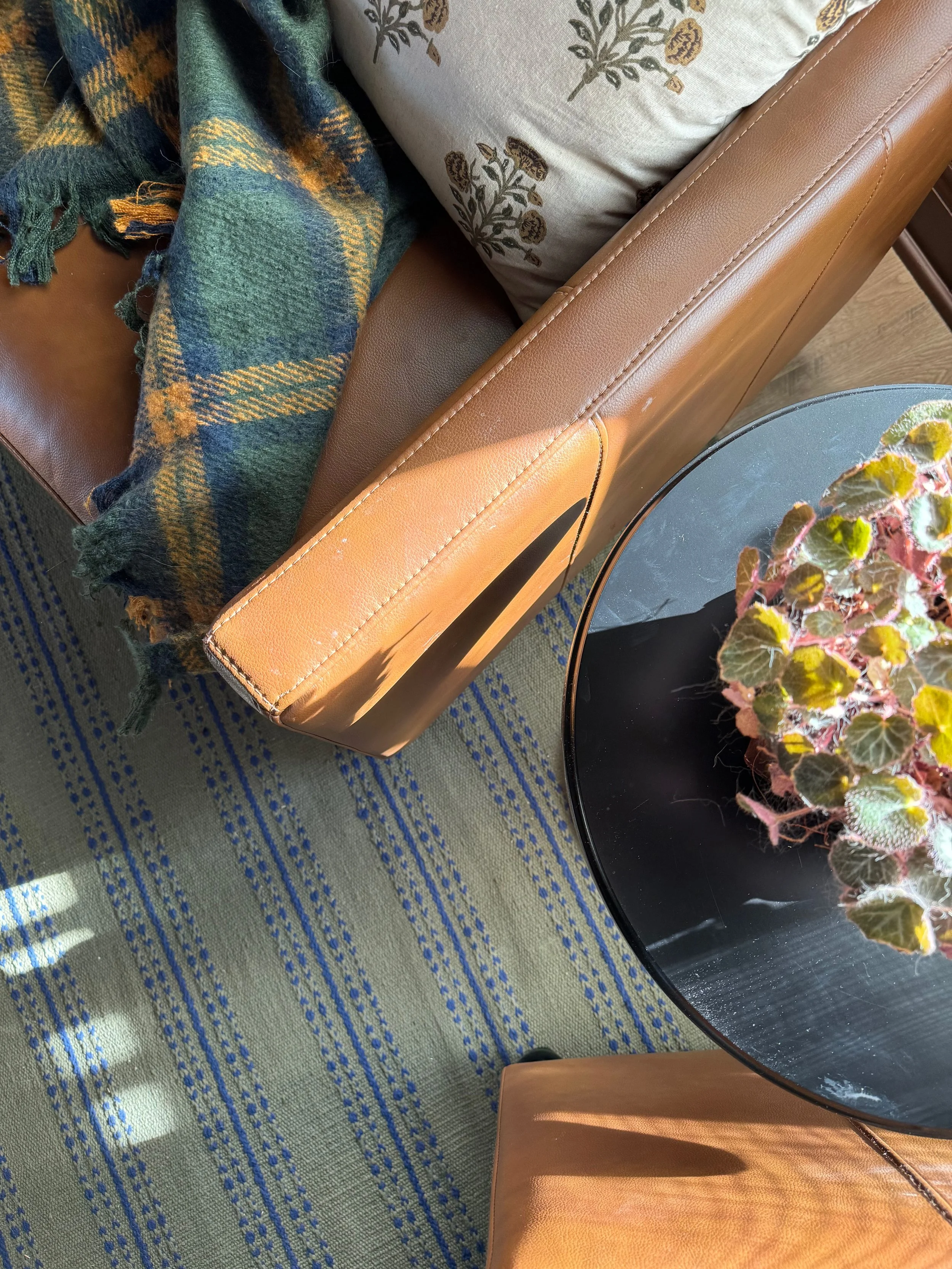 View of a living room corner showing part of a brown leather chair, a pillow with a floral pattern, a colorful plaid blanket, a small black round table with a leafy plant, and a striped carpet.