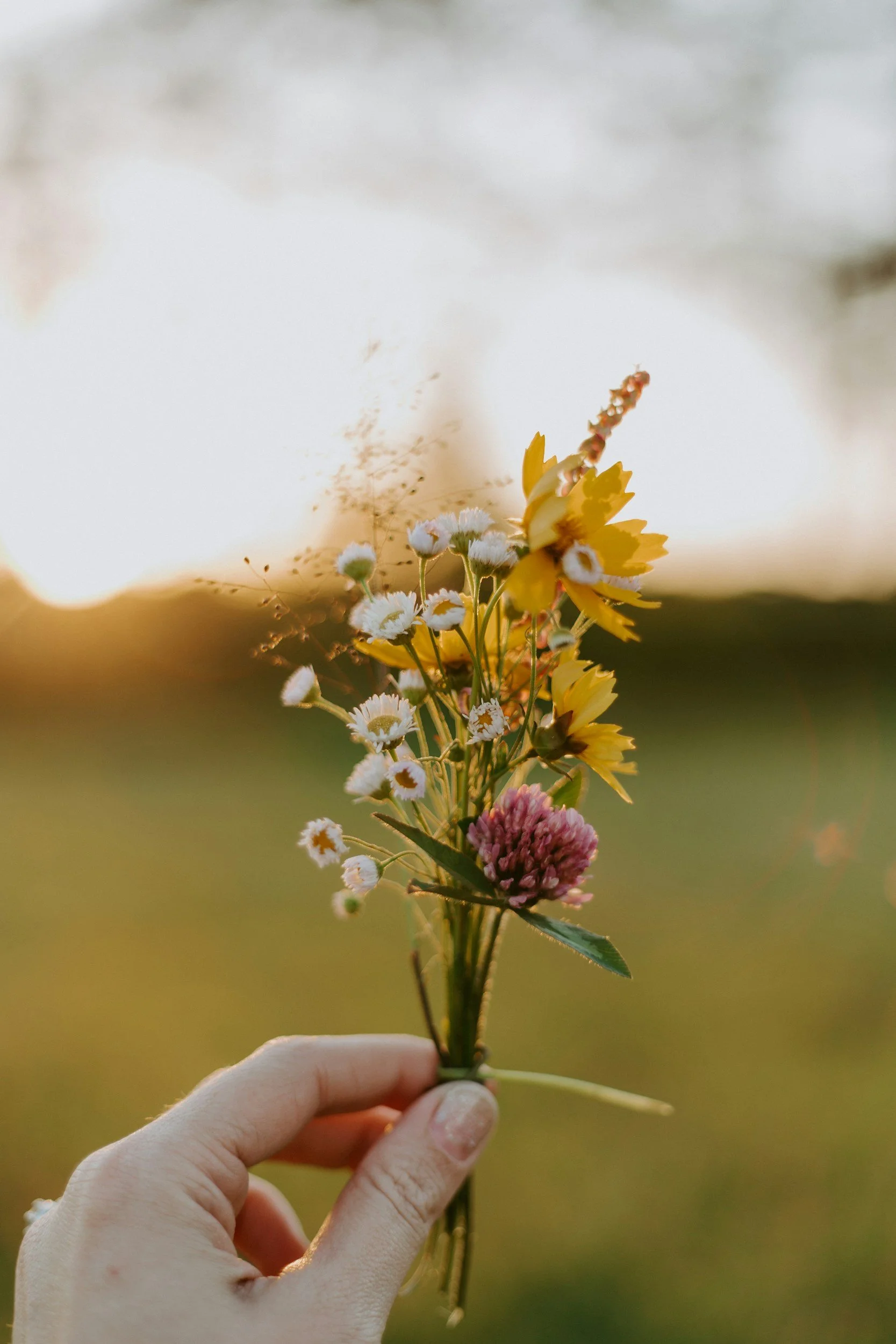 Hand holding a small bouquet of wildflowers with yellow, white, and pink blossoms against a blurred outdoor background during sunset.
