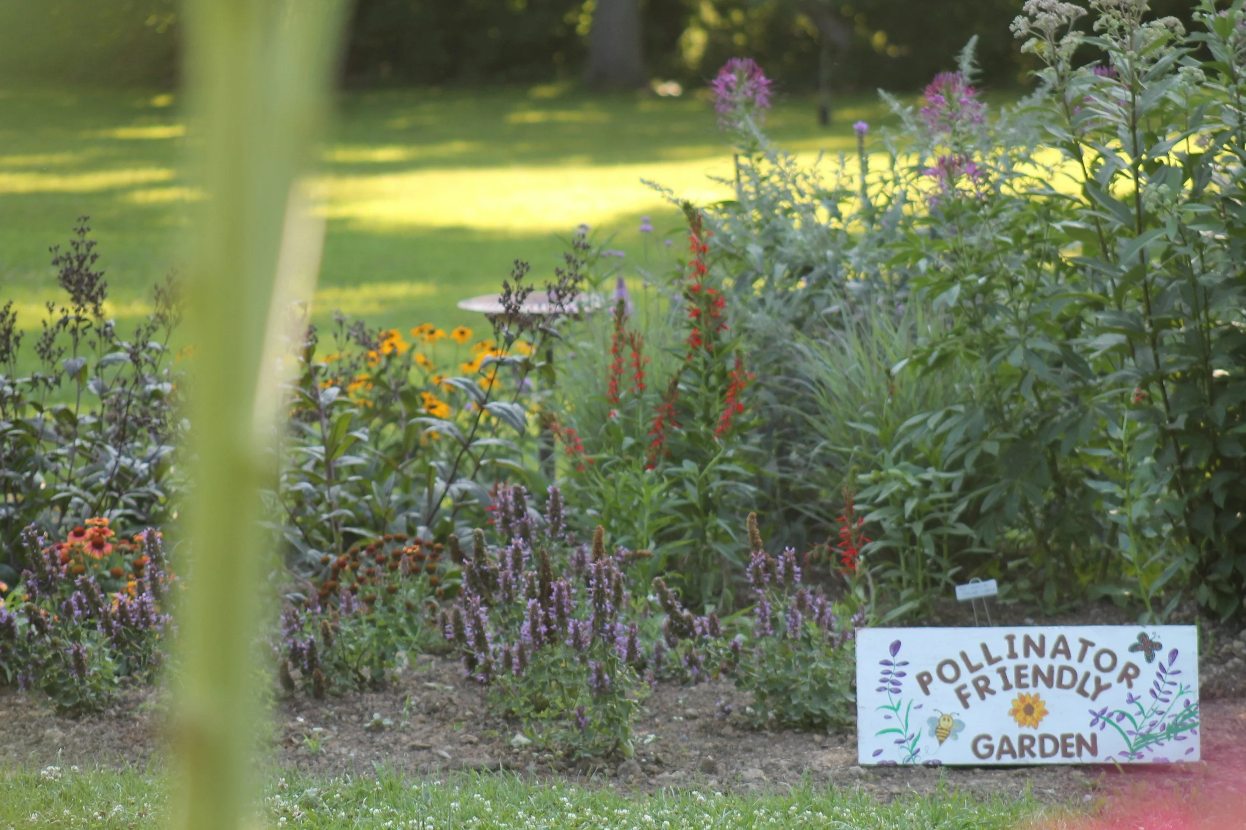 A colorful flower garden with a sign that reads 'Pollinator Friendly Garden' in white with colorful flower and bee illustrations, surrounded by various blooming flowers and plants.