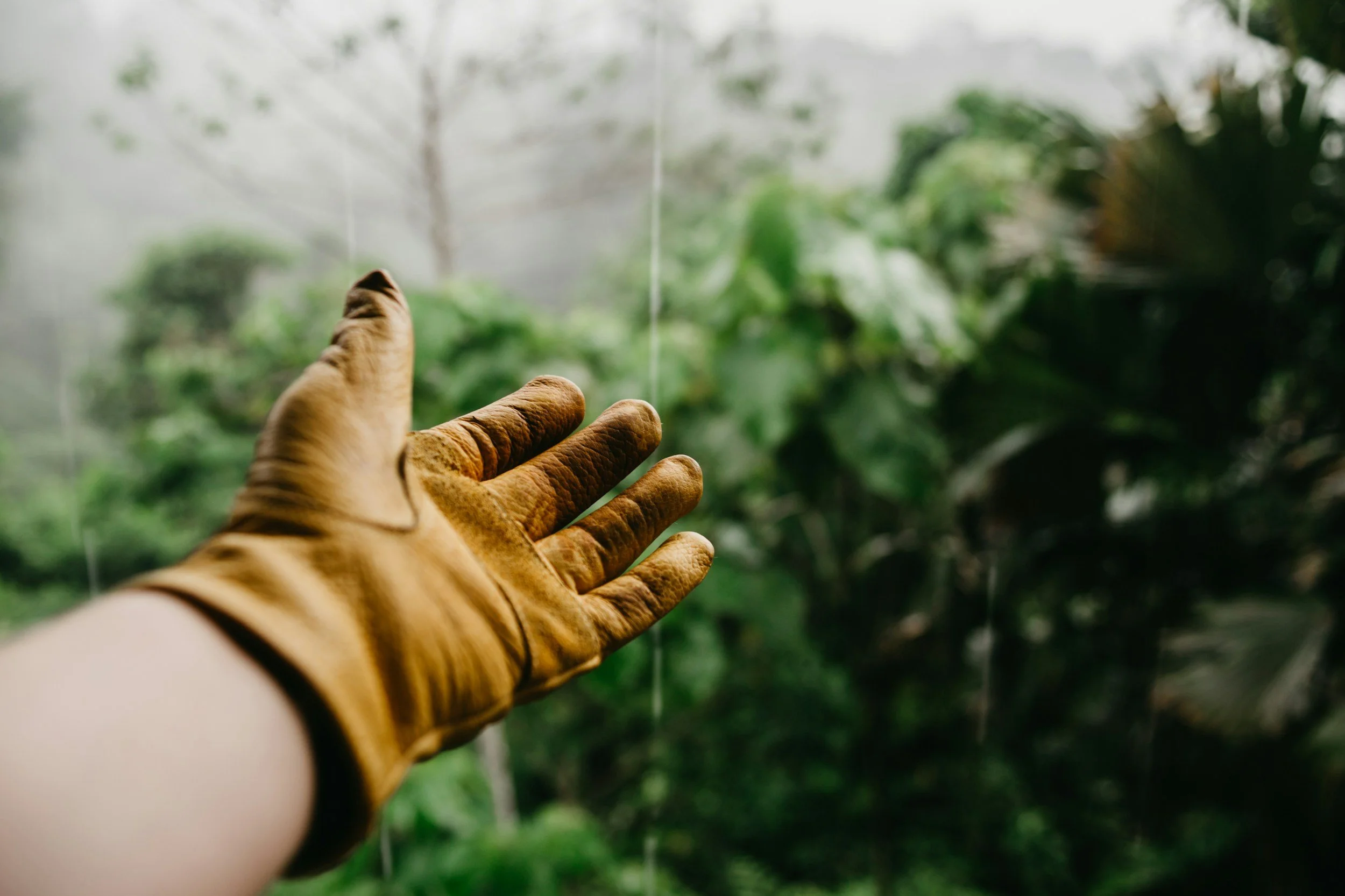 A person wearing a brown leather work glove reaching out to touch a foggy glass window with a lush green garden visible outside.