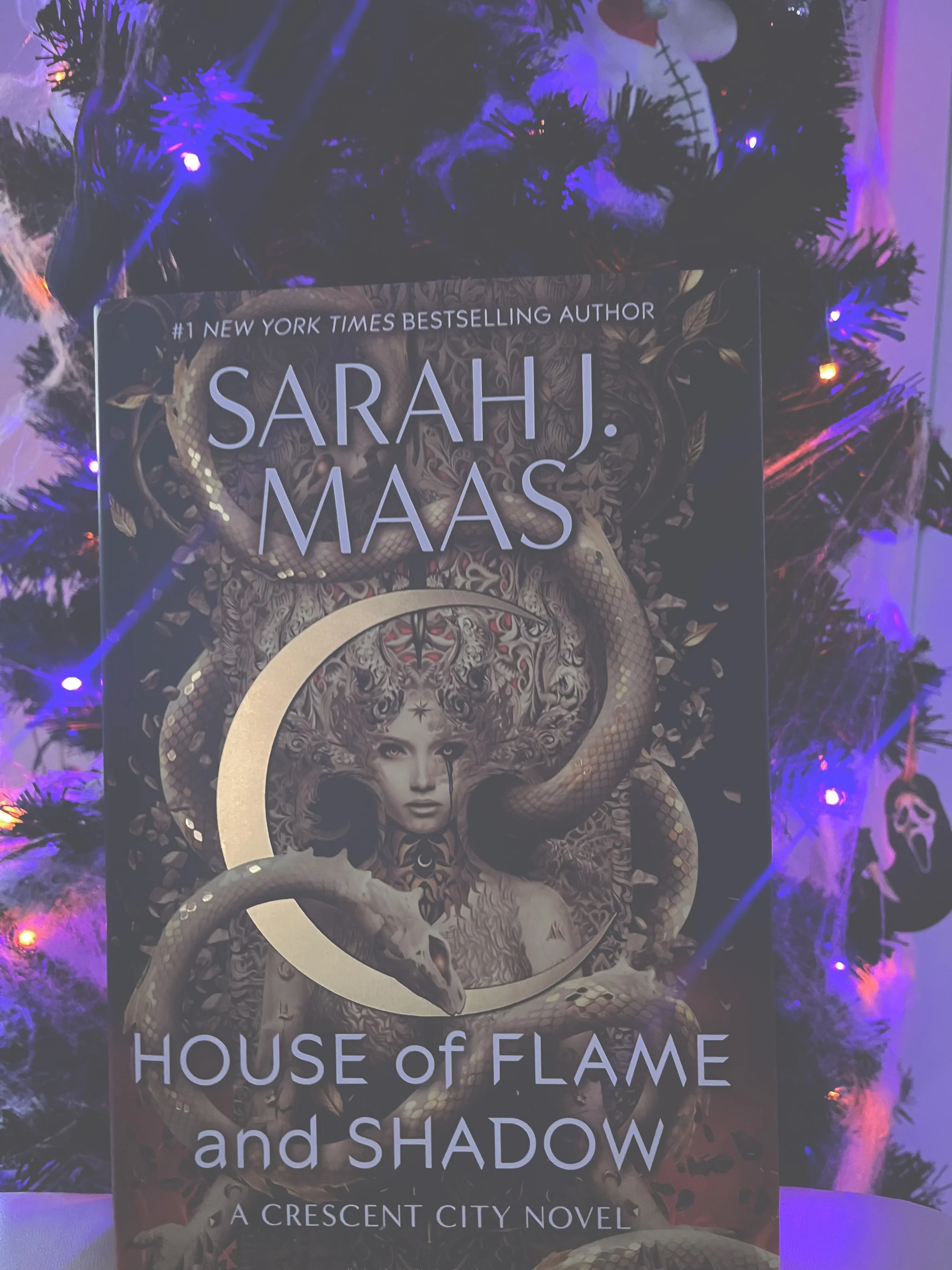 House of Flame and Shadow