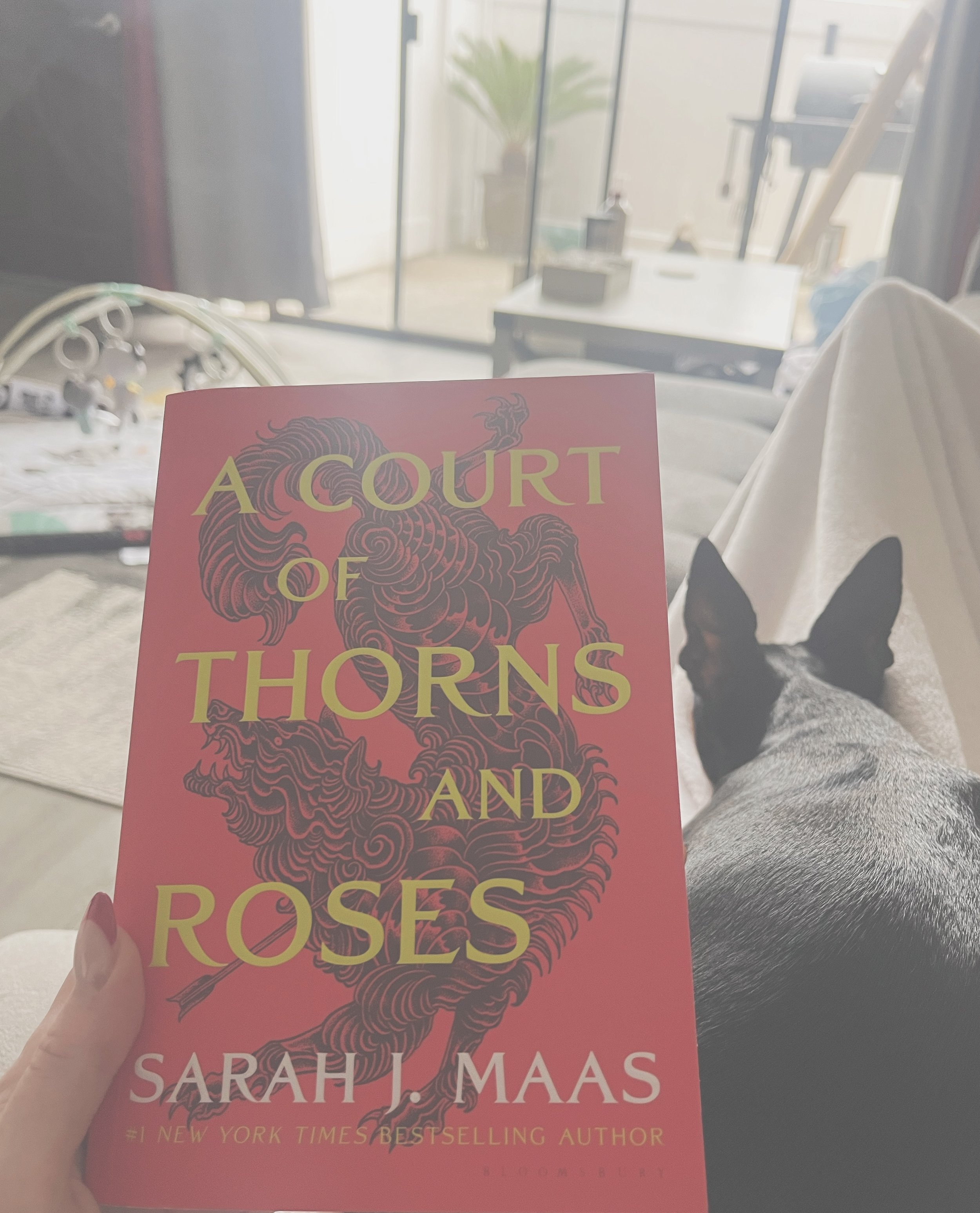 A Court of Thorns and Roses
