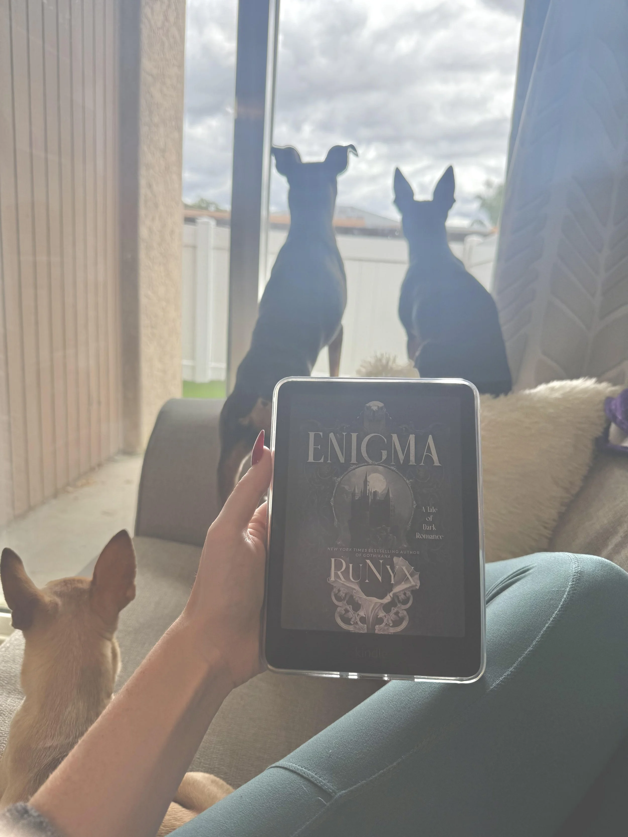 Enigma