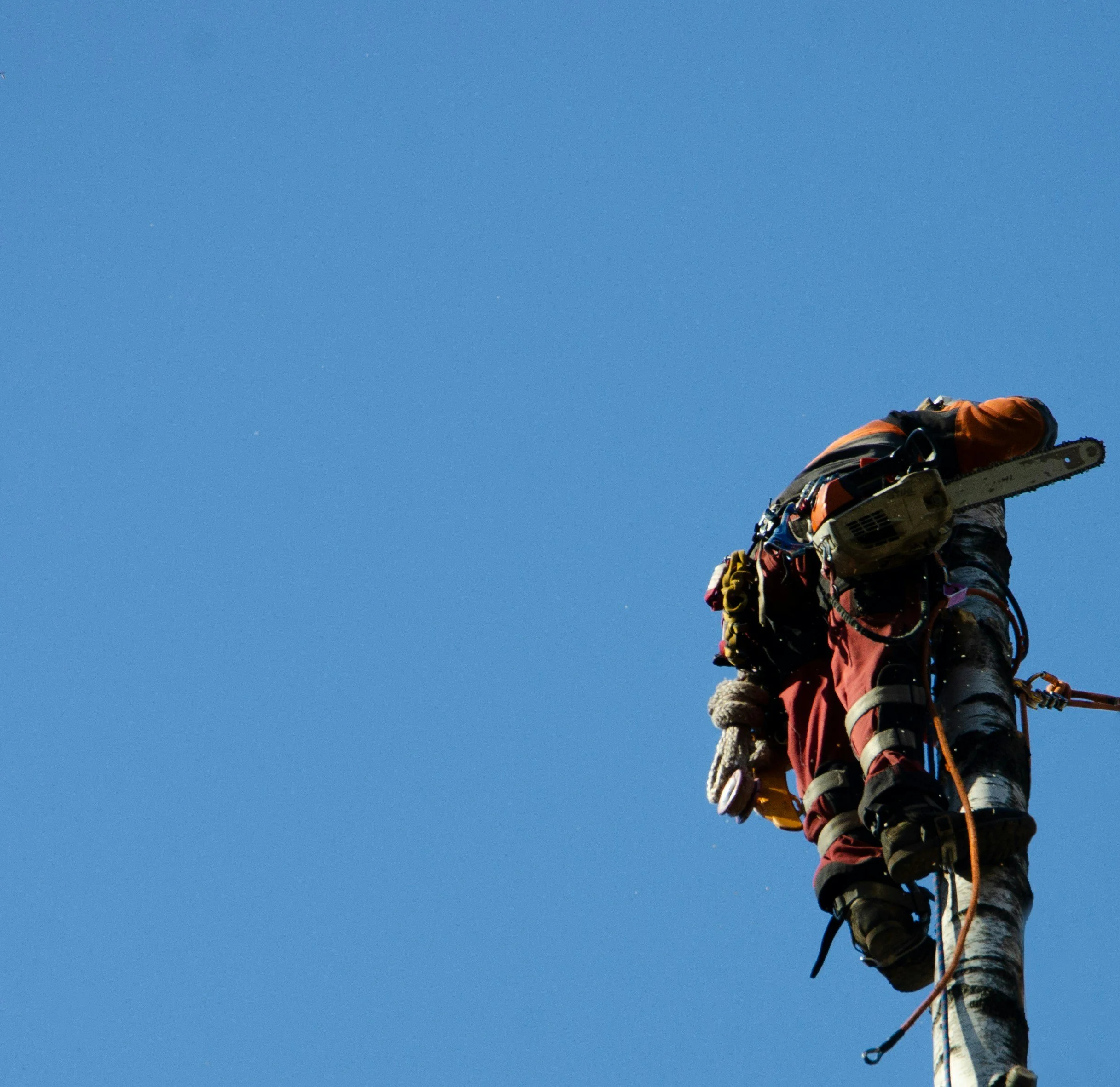 Lineworker climbing a utility pole with equipment, against a clear blue sky.