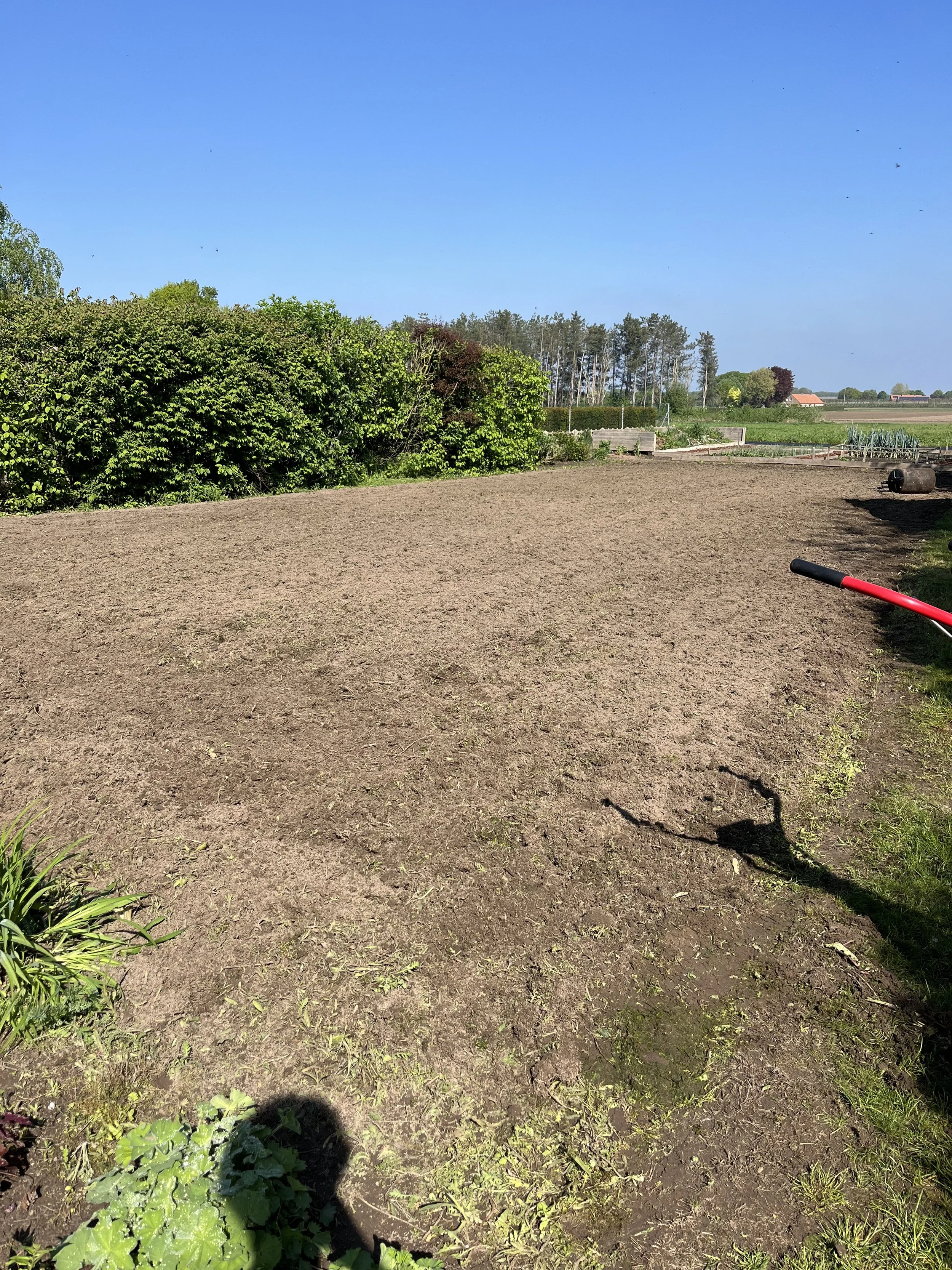 A freshly tilled garden bed in a rural area with a clear blue sky, green bushes, trees, and distant farm buildings in the background.