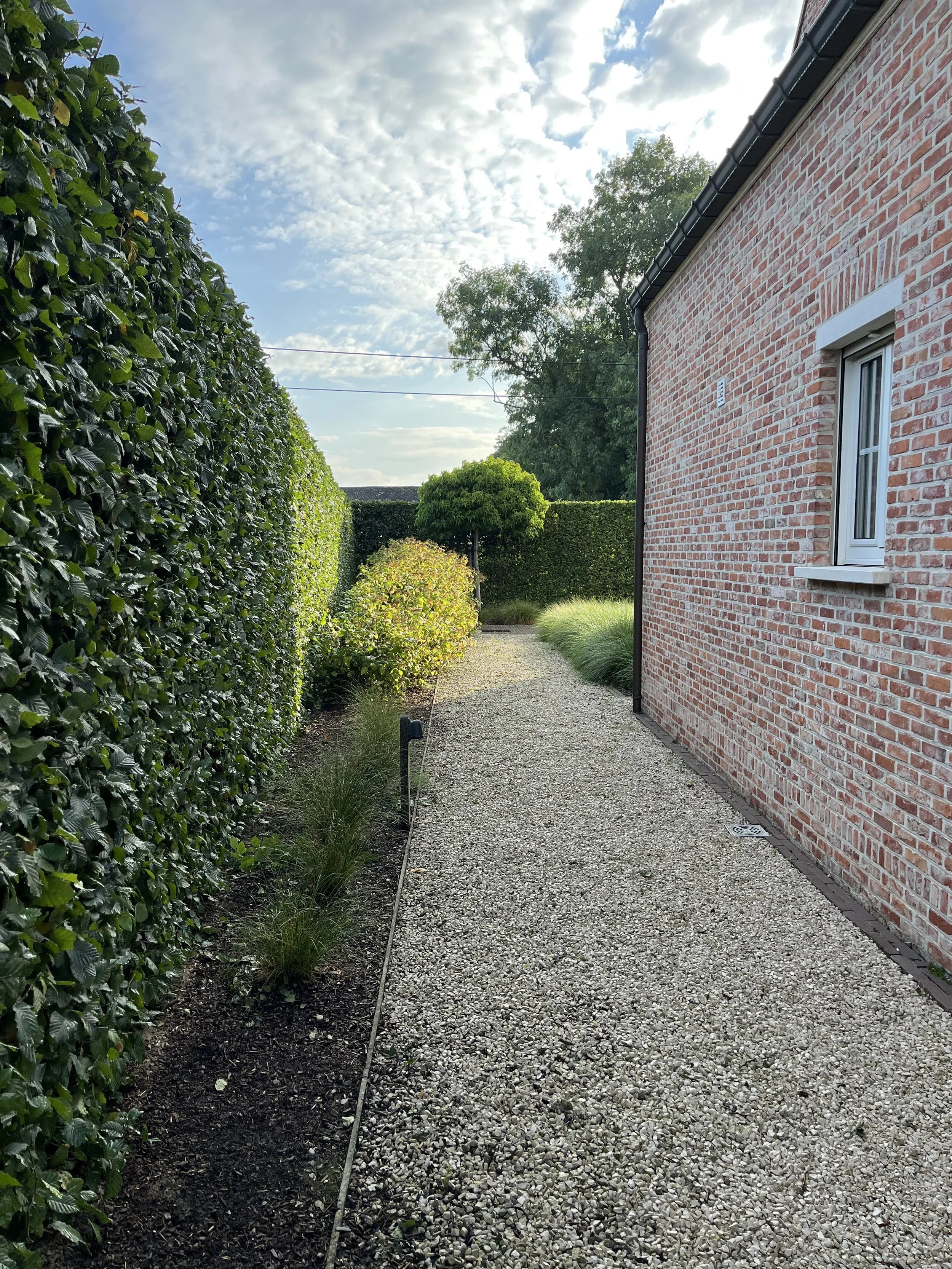 Side garden pathway with gravel, bordered by a green hedge on the left and a brick house wall on the right, with small plants along the border, under a partly cloudy sky.