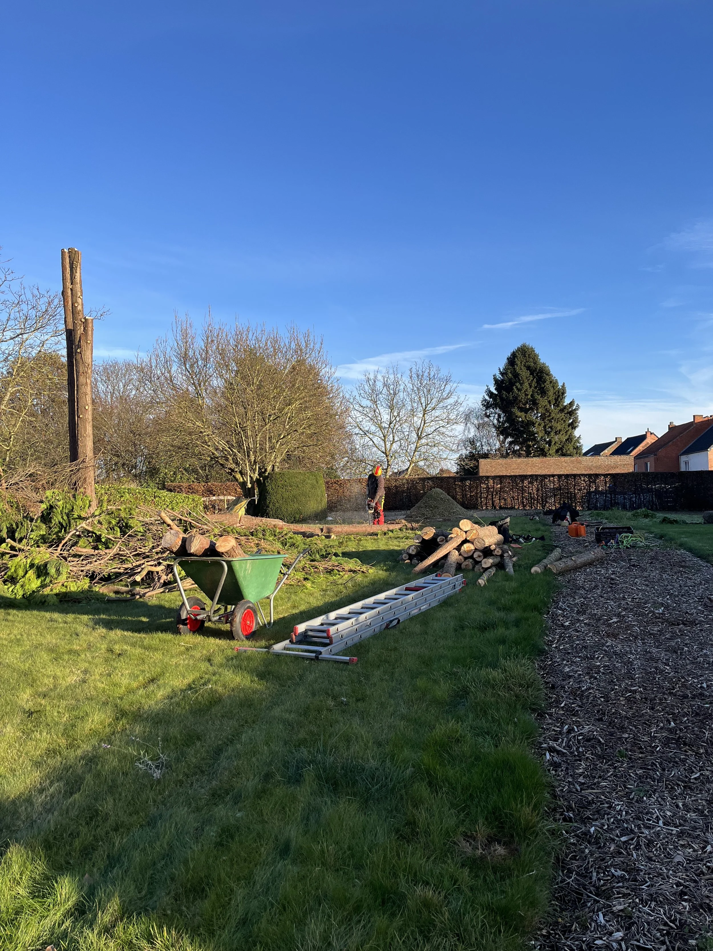 A backyard with grass, trees, and a clear blue sky; a man wearing safety gear works on a landscaping project with logs, a wheelbarrow, and a ladder nearby.