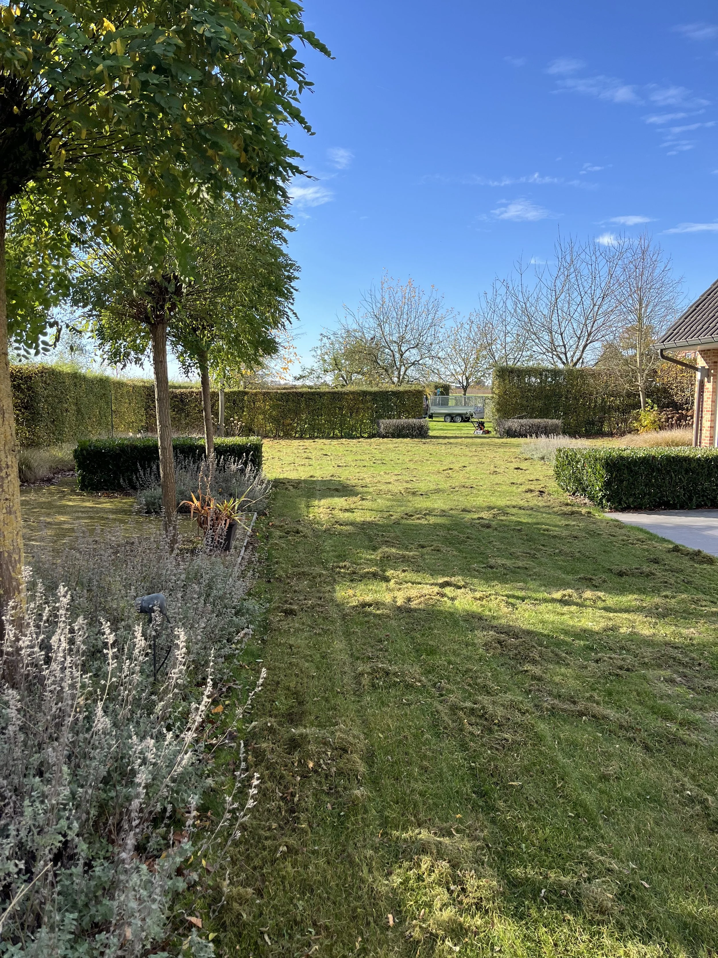 A backyard with a grassy lawn, trees, bushes, and a house on the right, under a blue sky with some white clouds.