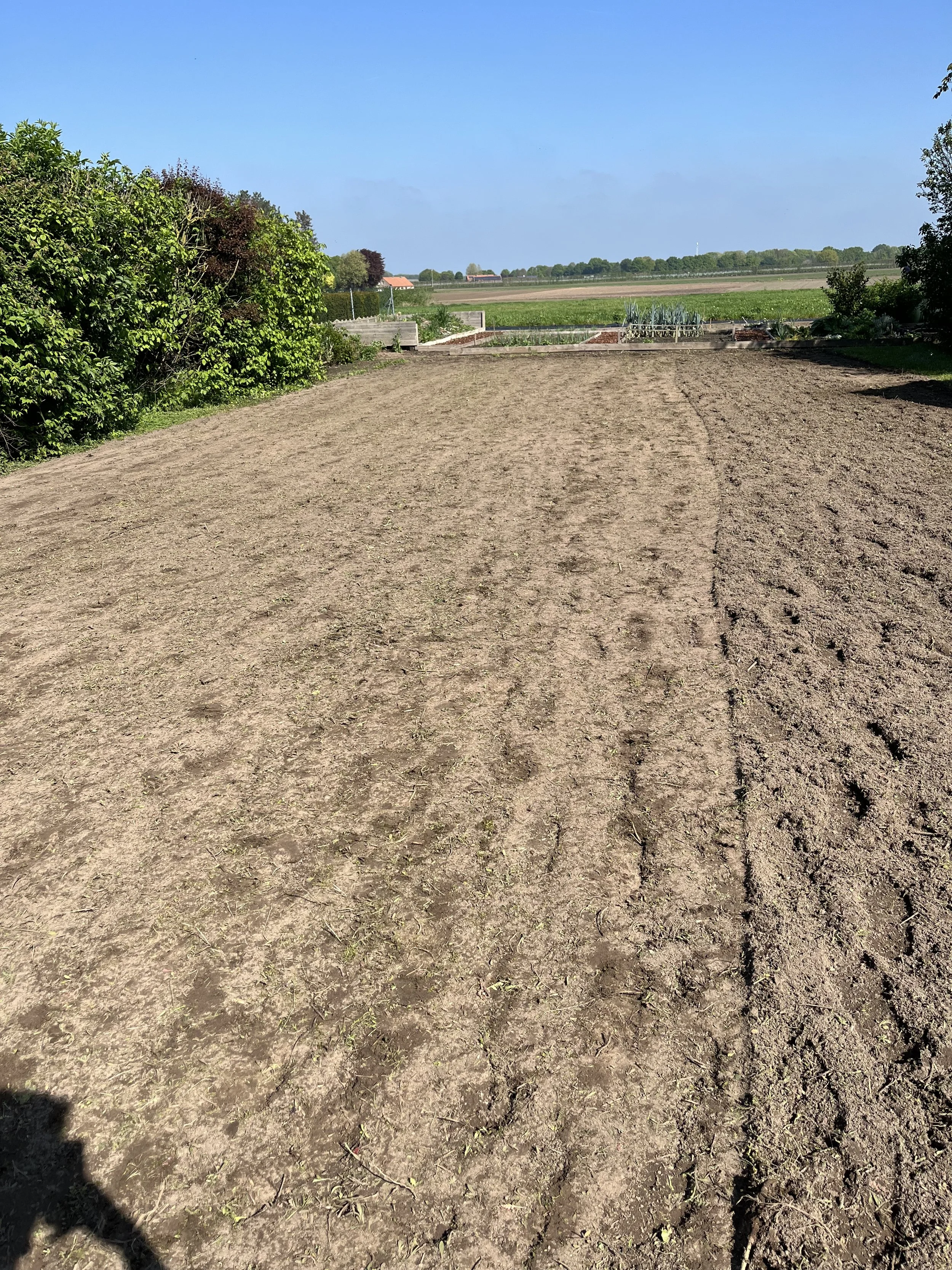 A dirt field with tire tracks, surrounded by green bushes and trees, under a clear blue sky.