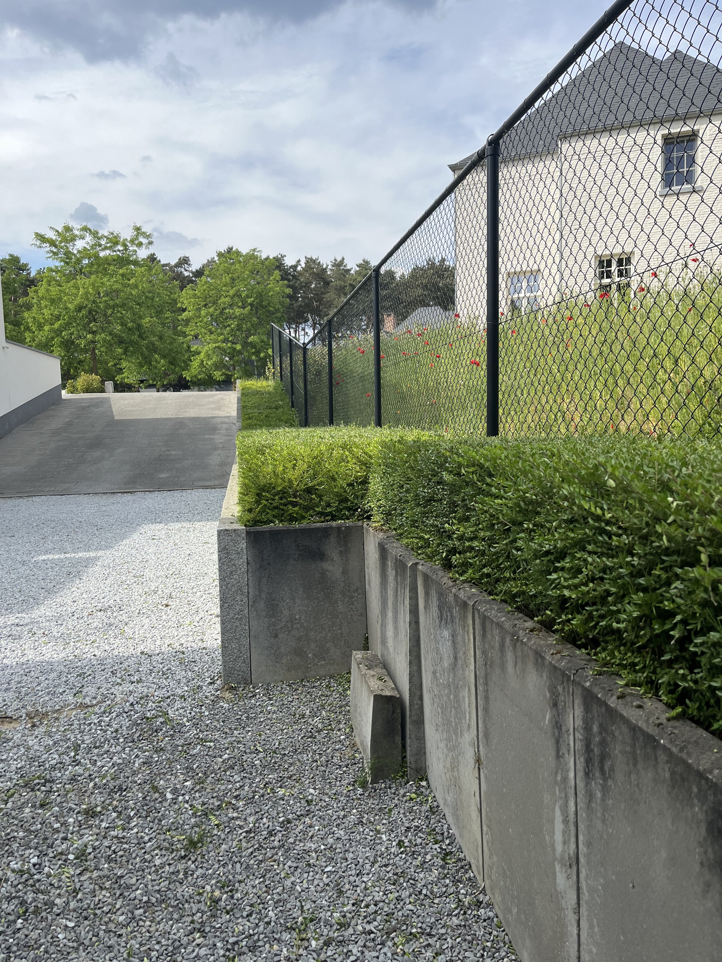 A gravel pathway beside a concrete wall with green bushes on top, a black metal fence on the right, and trees and a house in the background.