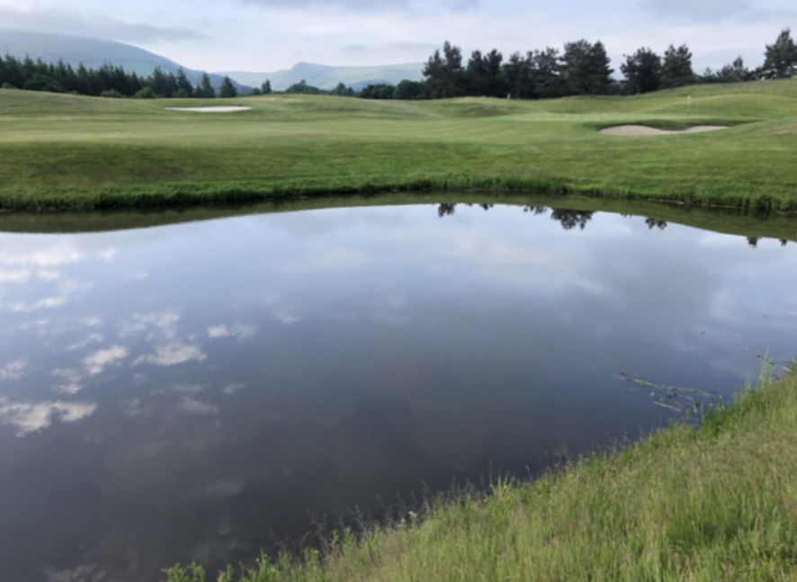 After picture of a golf course's private pond that is overgrown with lake weeds like cattails and eurasian milfoil in the Seattle area. Milfoil Mercenaries removed and composted all invasive lake weeds.