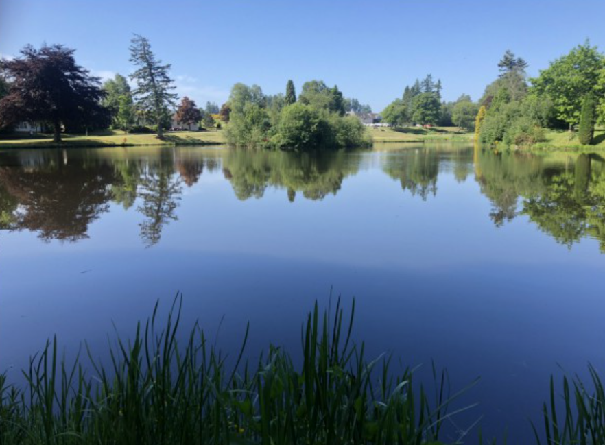 After picture of a private pond in Sammamish Milfoil Mercenaries cleared of milfoil, cattails, lily pads, etc. We removed lake weeds offsite for compost as our mission is to be eco-friendly.
