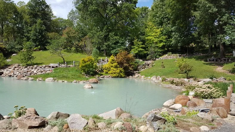 Commercial Pond Management