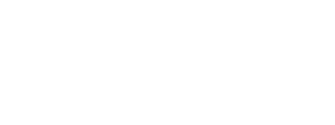 Logo of the Niagara Industrial Association featuring a gear inside a maple leaf with the text "niagara industrial association"