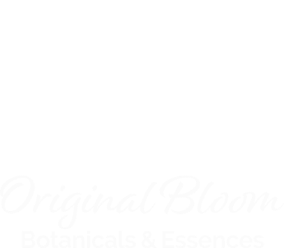 Logo for Original Bloom Botanicals & Essences featuring a decorative floral design above the company name in script font.
