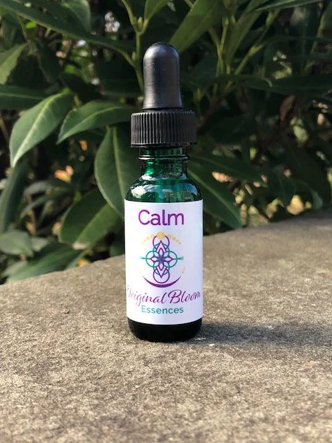 Small green glass bottle with a black dropper cap, labeled "Calm" from Original Bloom Essences, placed on a concrete surface with green leafy plants in the background.