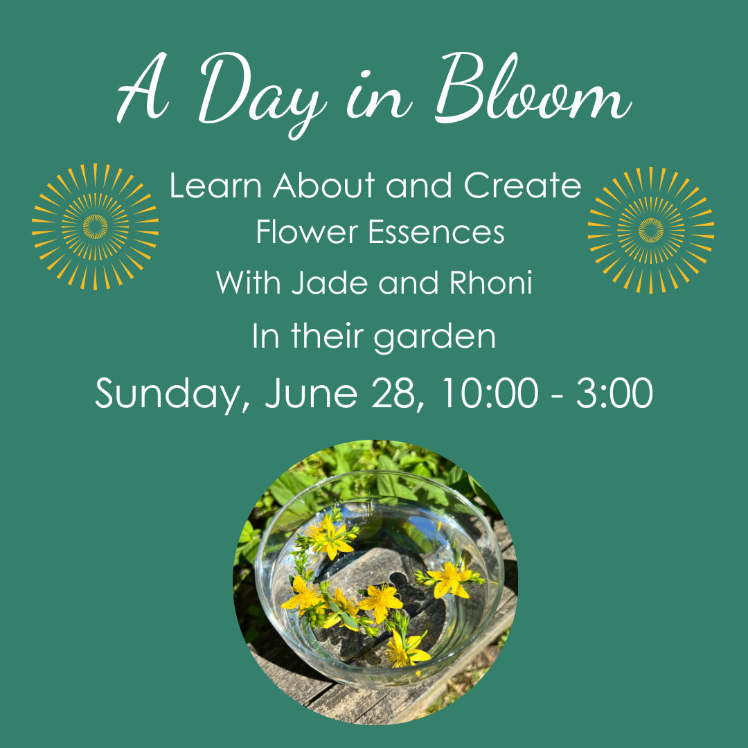 A Day in Bloom 25  (3).png