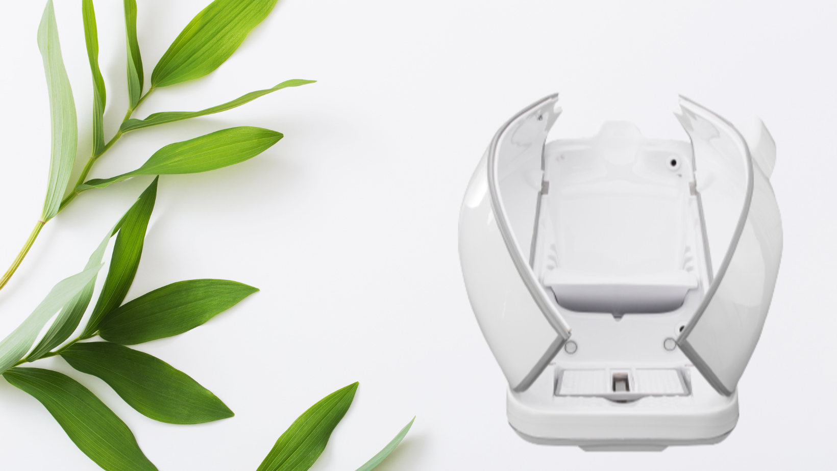 Empty camera battery compartment or battery case on a white surface with green leaves on the left side.