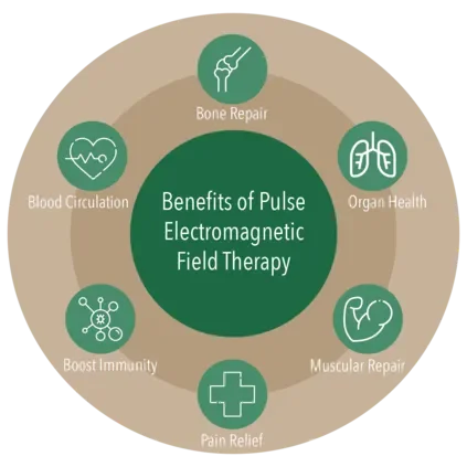 Diagram showing benefits of pulse electromagnetic field therapy, including bone repair, organ health, muscular repair, pain relief, boost immunity, and blood circulation.
