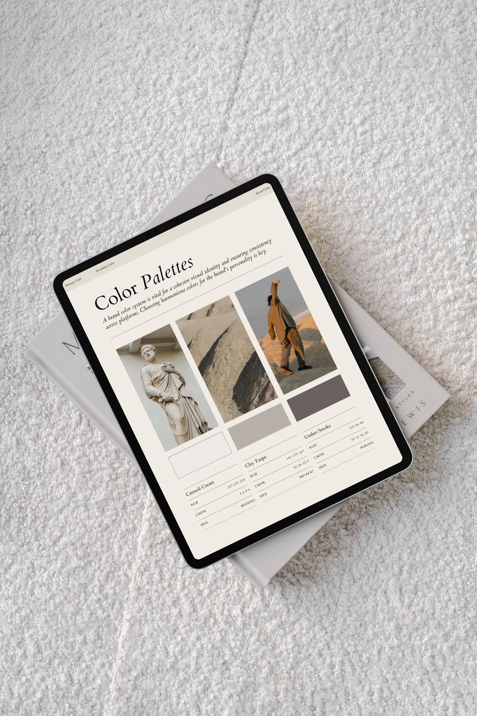 Evita iPad Mockup_lowres.jpg