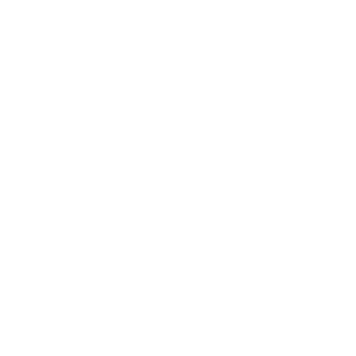 Logo of InnopreneurAI with a stylized flower design and the text 'InnopreneurAI' and 'The Future' on a black background.