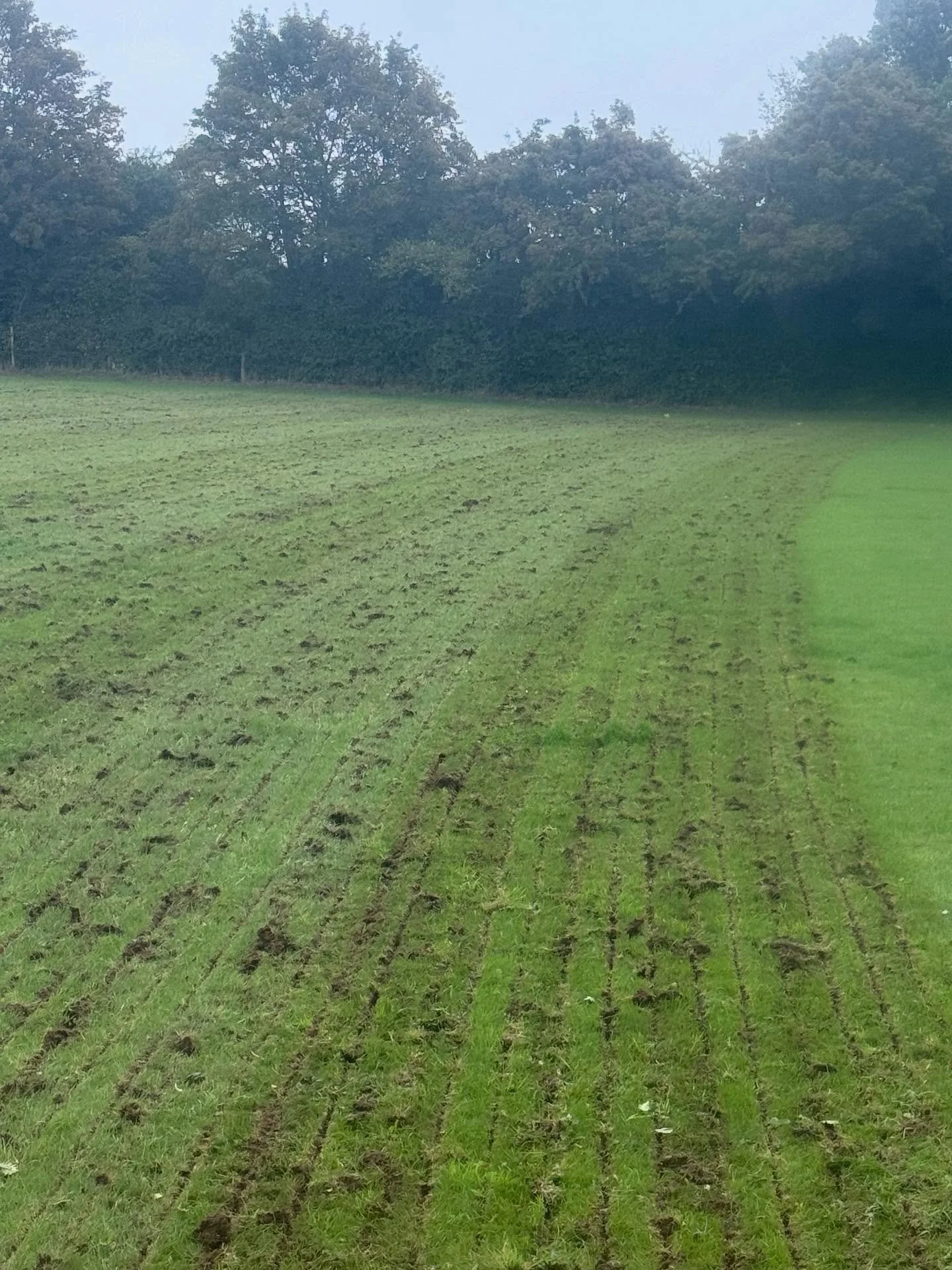 🌱 Slot-Drill Reseeding: Revive Your Grassland Without Starting Over 🌾

Got tired, patchy pasture? Don&rsquo;t tear it up&mdash;drill it!

Our slot-seeding (no-till drilling) service delivers fresh life into your existing grassland by placing seed d