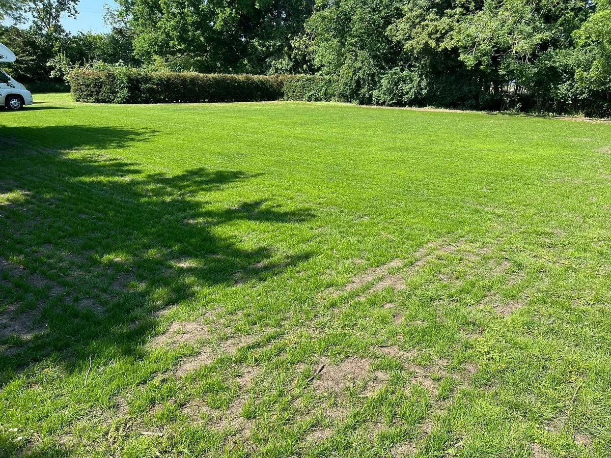 We&rsquo;re approaching the time for reseeding and overseeing paddocks again, and we&rsquo;re hoping for some rain in the coming weeks! We source our grass seed mixtures from a local supplier and can ensure we get a suitable mix tailored to your spec