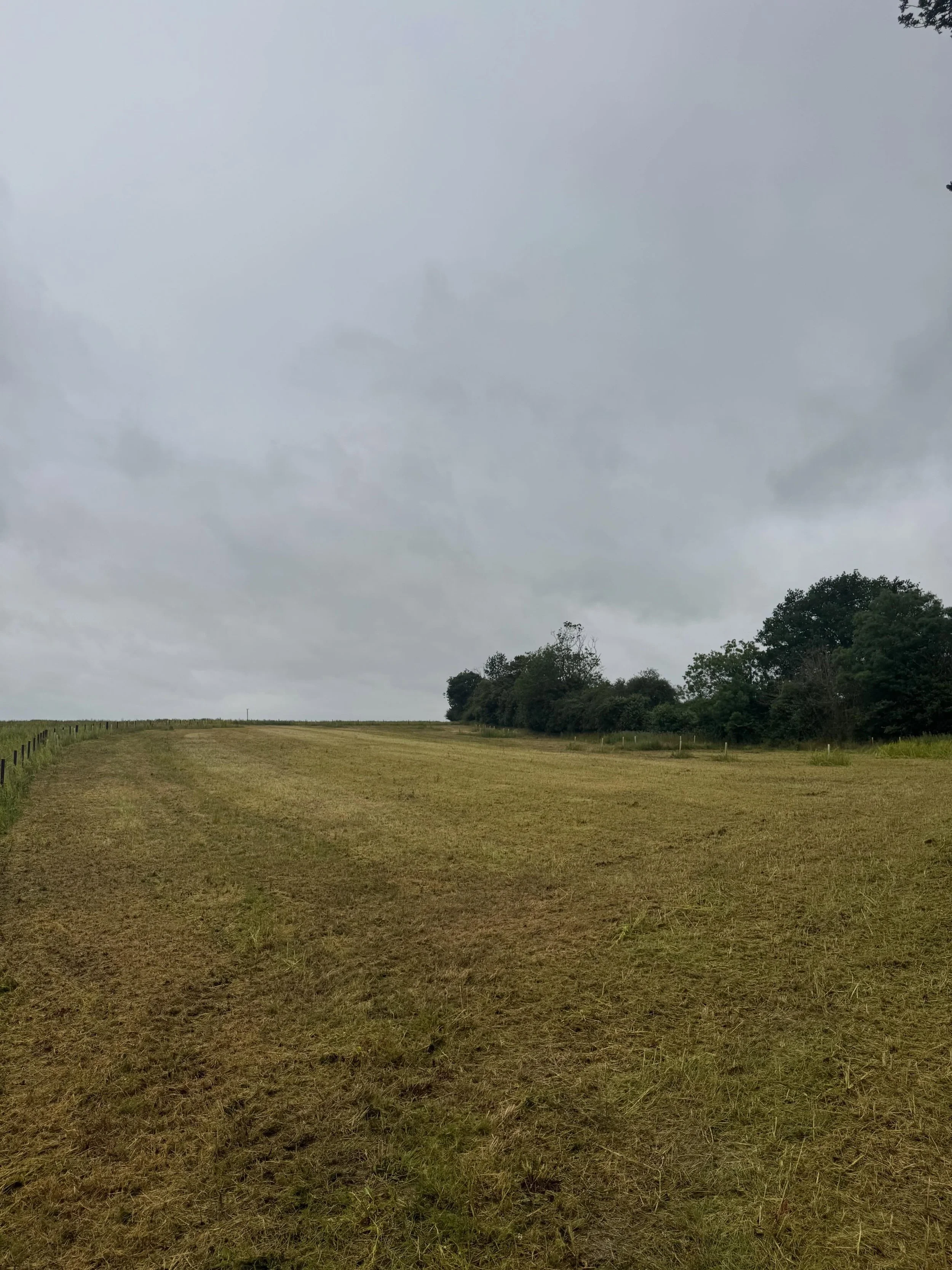 Need rough grass, brambles, or overgrown land cleared fast?
At HG Contracting, our professional flail mowing service is perfect for paddocks, fields, verges, estates, and neglected ground.

✅ Clears thick vegetation efficiently
✅ Ideal for large or u