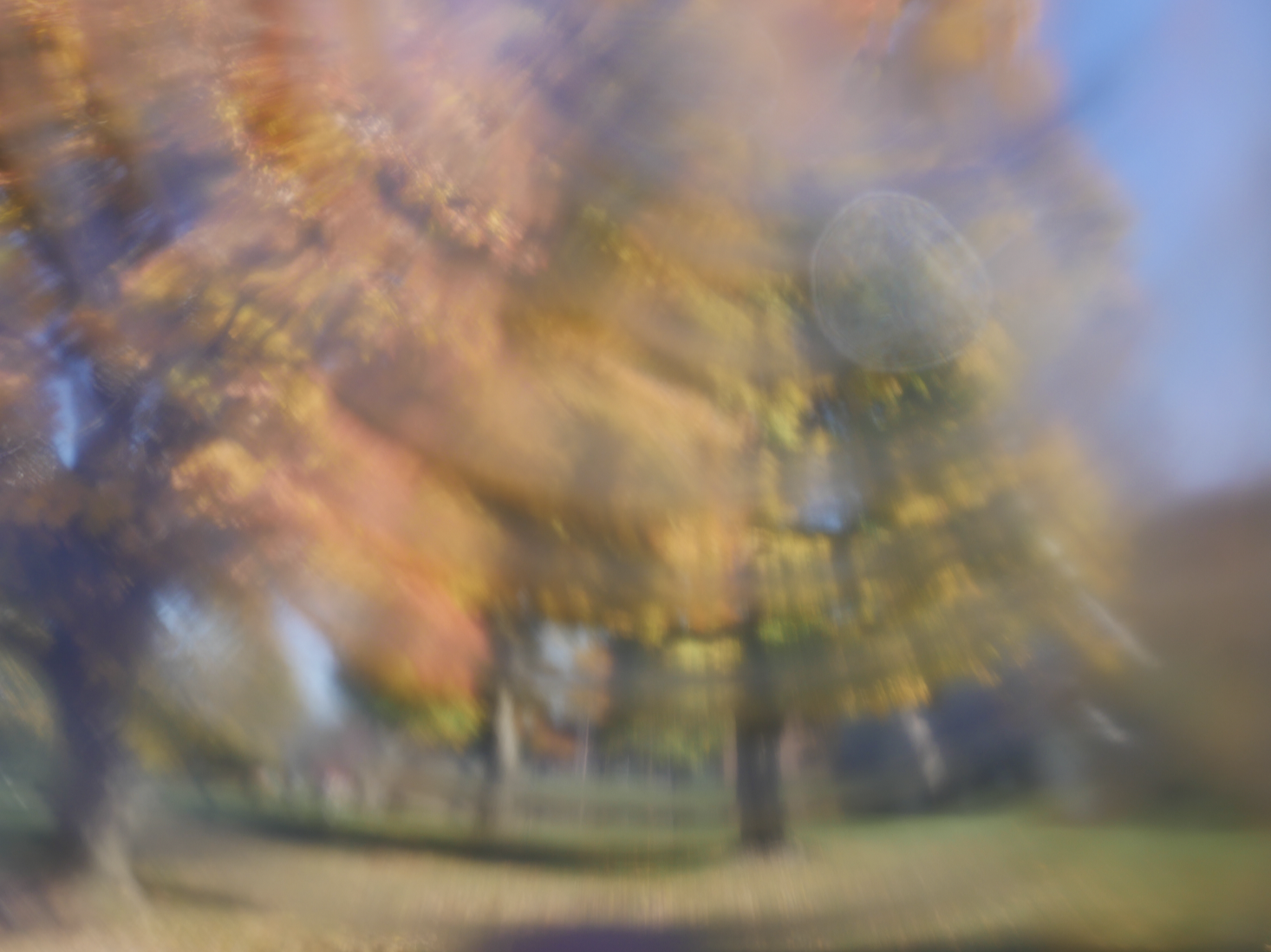 Screen Shot 2025-12-10 at 12.46.28 PM.png