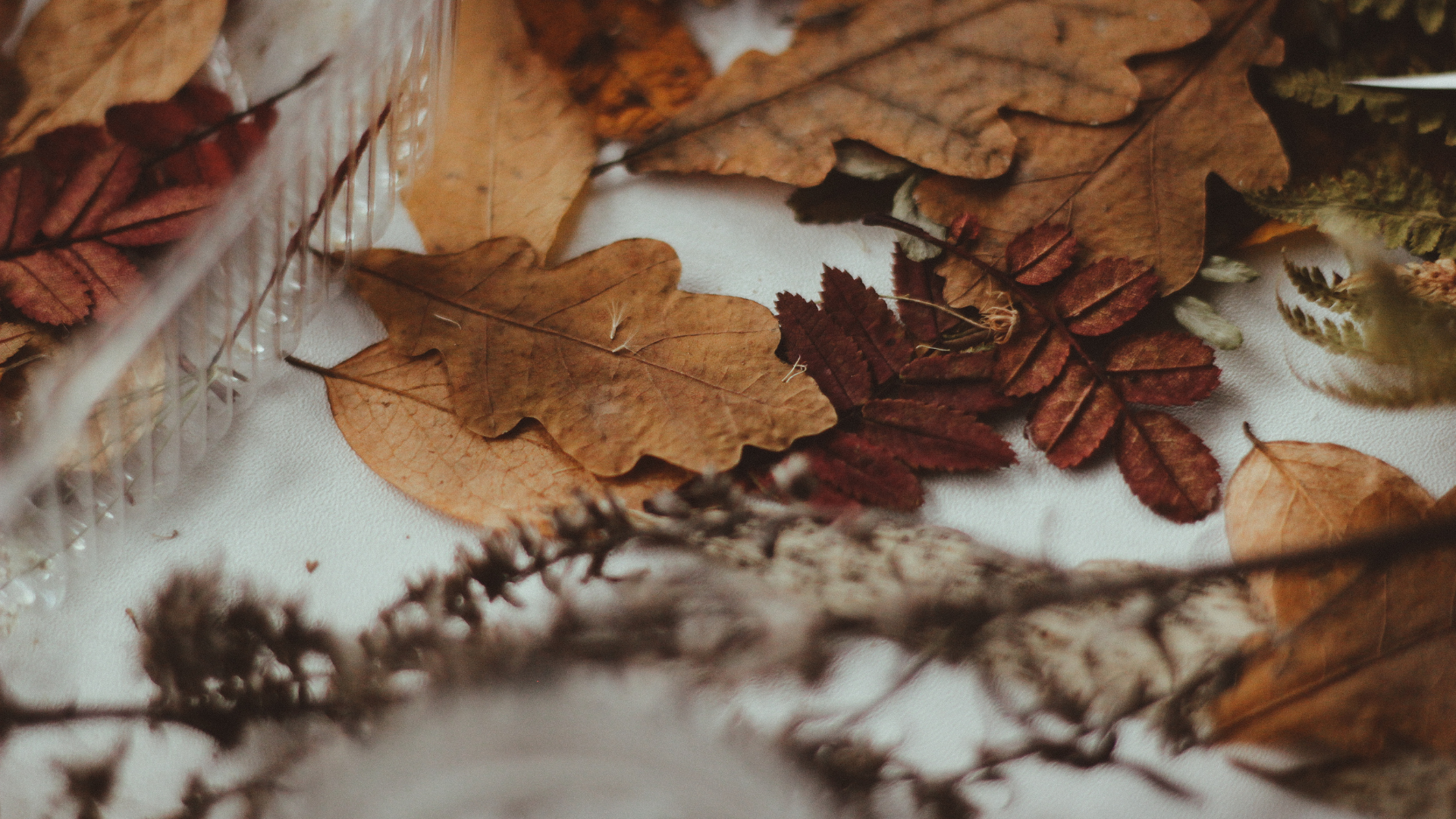 Setting the Table: How Small Shifts Can Change the Way We Show Up 