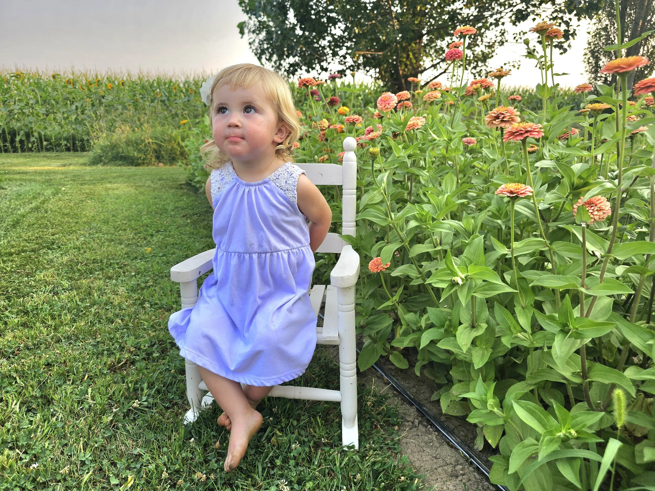 A young girl with blonde hair and a white flower in her hair, wearing a lavender dress, sitting barefoot on a small white bench in a garden with flowering plants, looking up with a thoughtful expression.