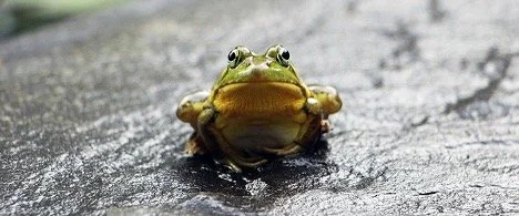 Privacy and the Tale of the Slowly Boiling Frog