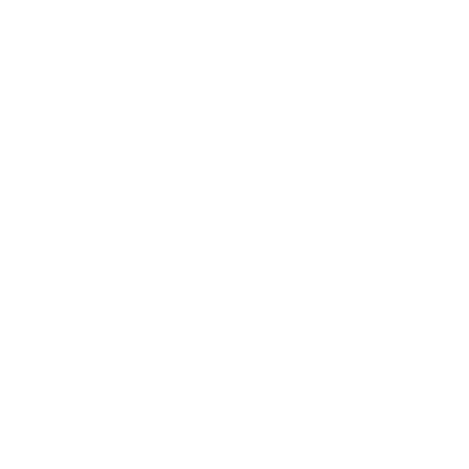 Wealth Warden Partners