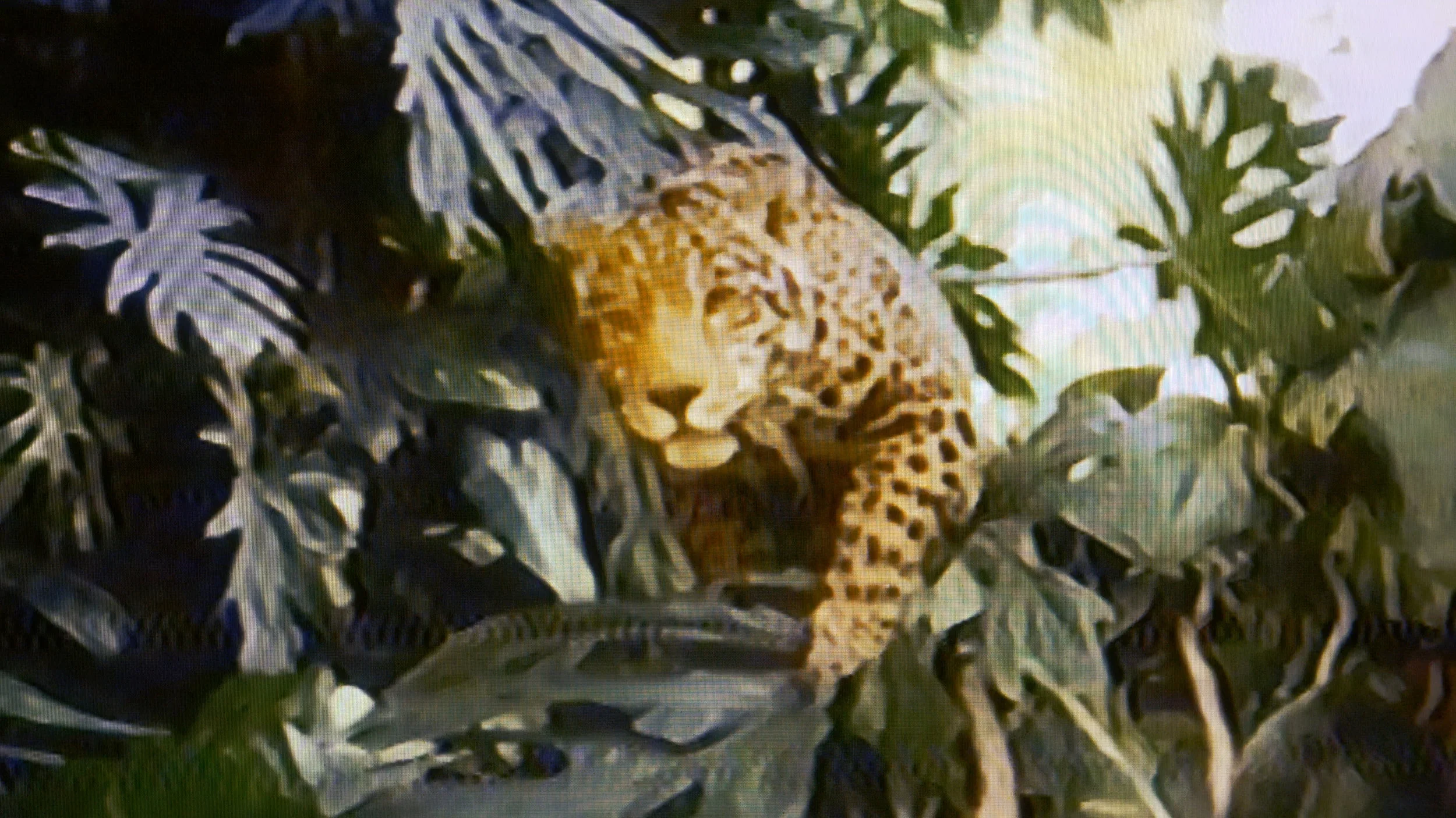 THESE STREETS AT NIGHT