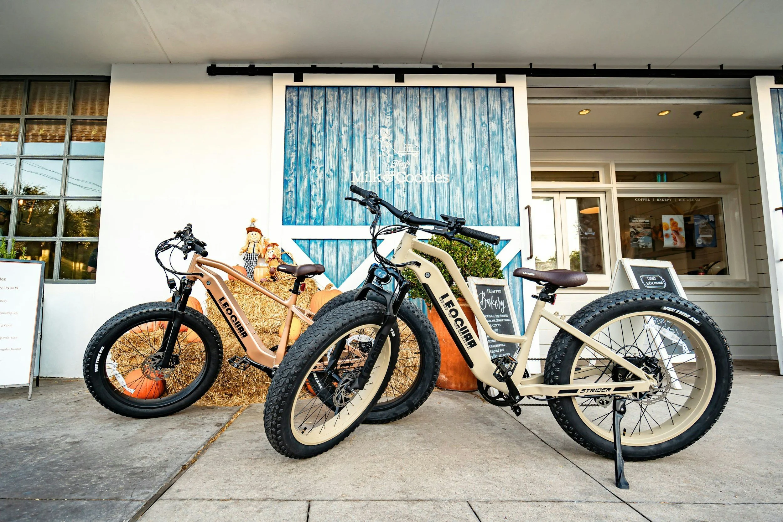 To E-Bike, or not to e-bike, that was the question