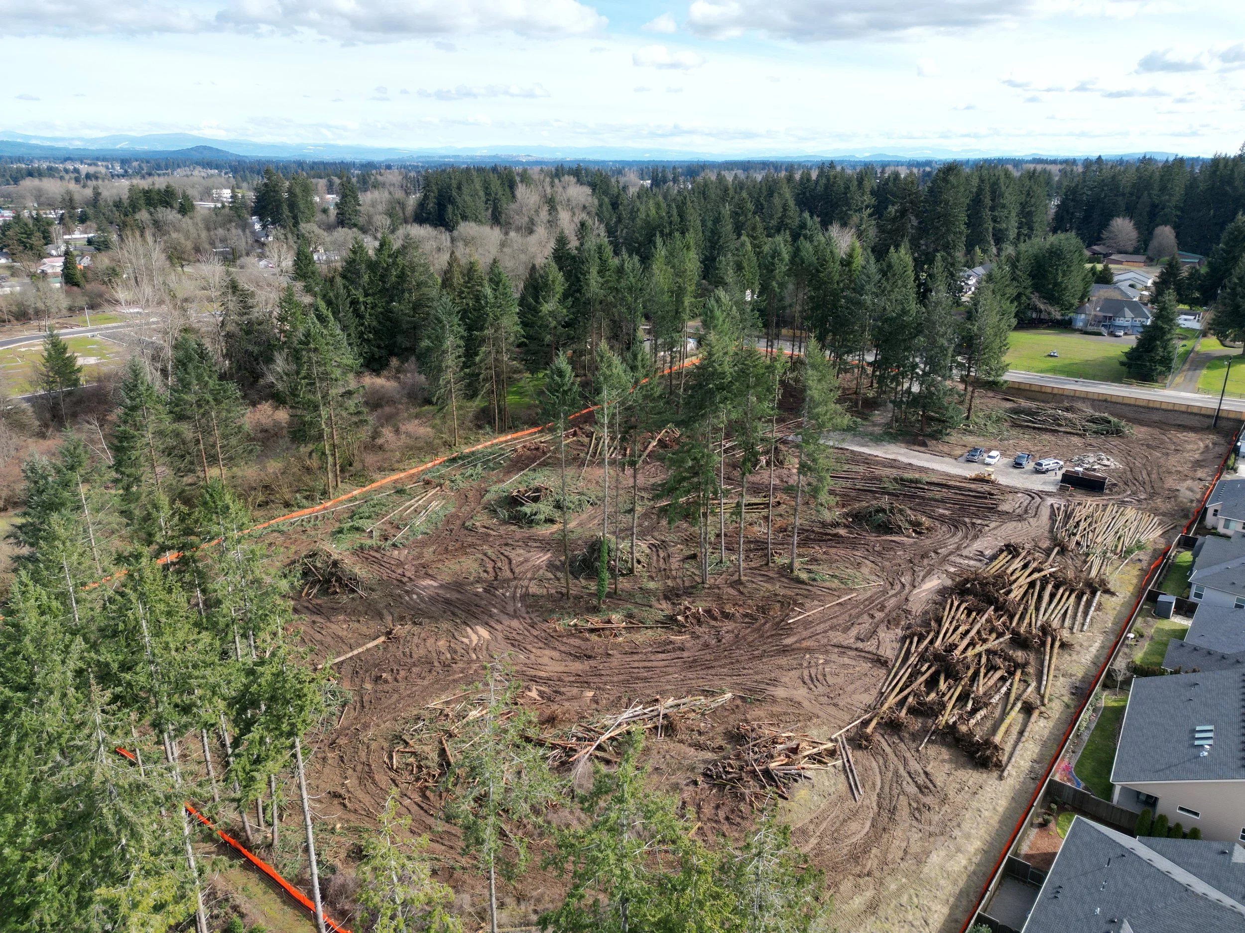 Aerial view of a construction site where trees have been cut down, with logs piled on the ground, surrounded by a forest and residential neighborhood.