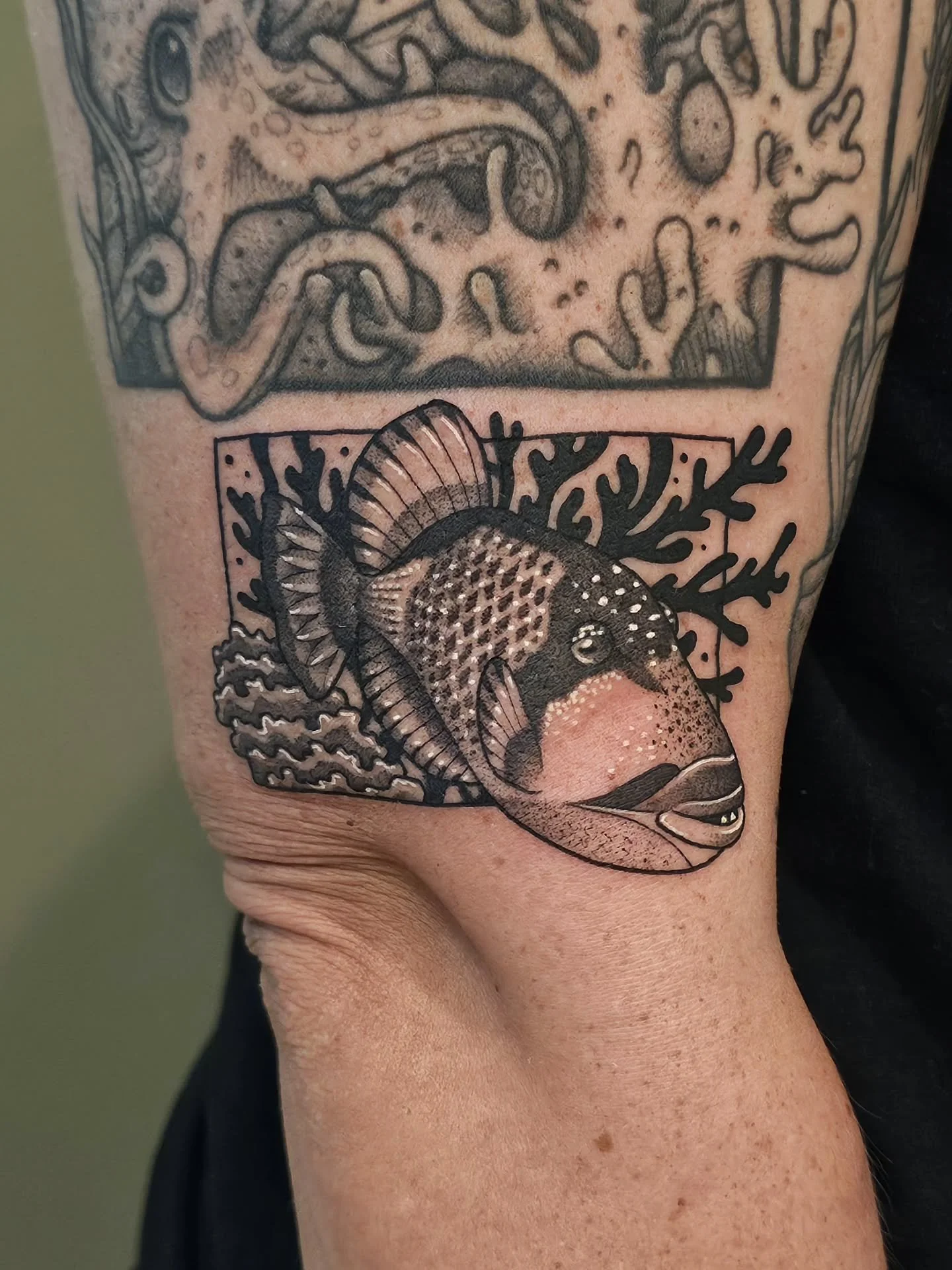 🐟 TITAN TRIGGERFISH 🐟
one of the prettiest yet scariest fish I've ever seen added to Emily's &quot;underwater panel&quot; sleeve - i can't believe you scuba dive with them @kauffeem youre so brave 🥲 you couldn't pay me to scuba dive NO THANK YOUUU