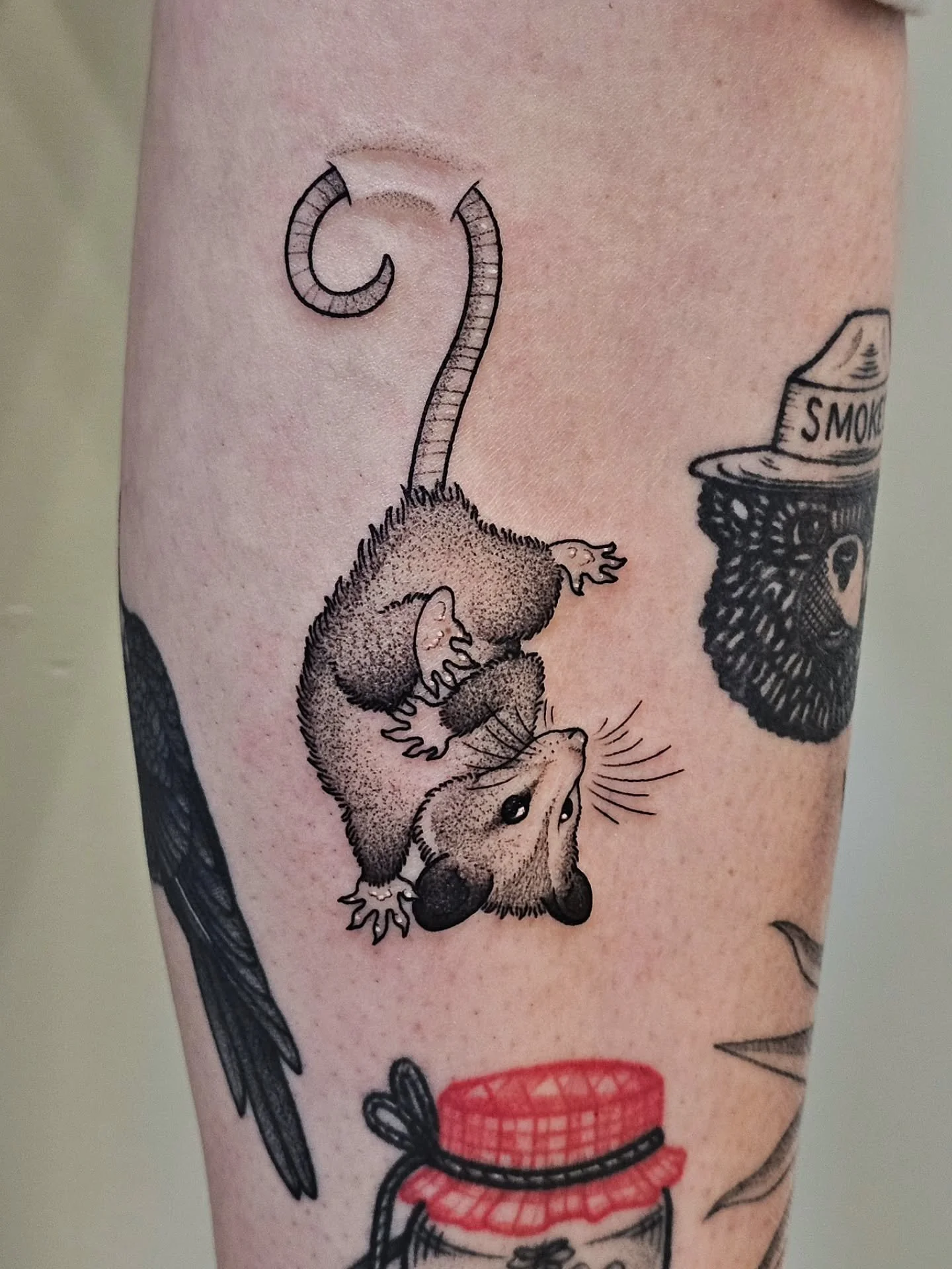 🐭 POSSUM 🐭
snuck this lil guy in-between some healed stuff on @jcorl45 's patchwork leg sleeve 🥰 so happy you were on board with the &quot;hooked into your skin&quot; idea, I freaking love it!!
✿ also, need your dog groomed? I highly recommend her