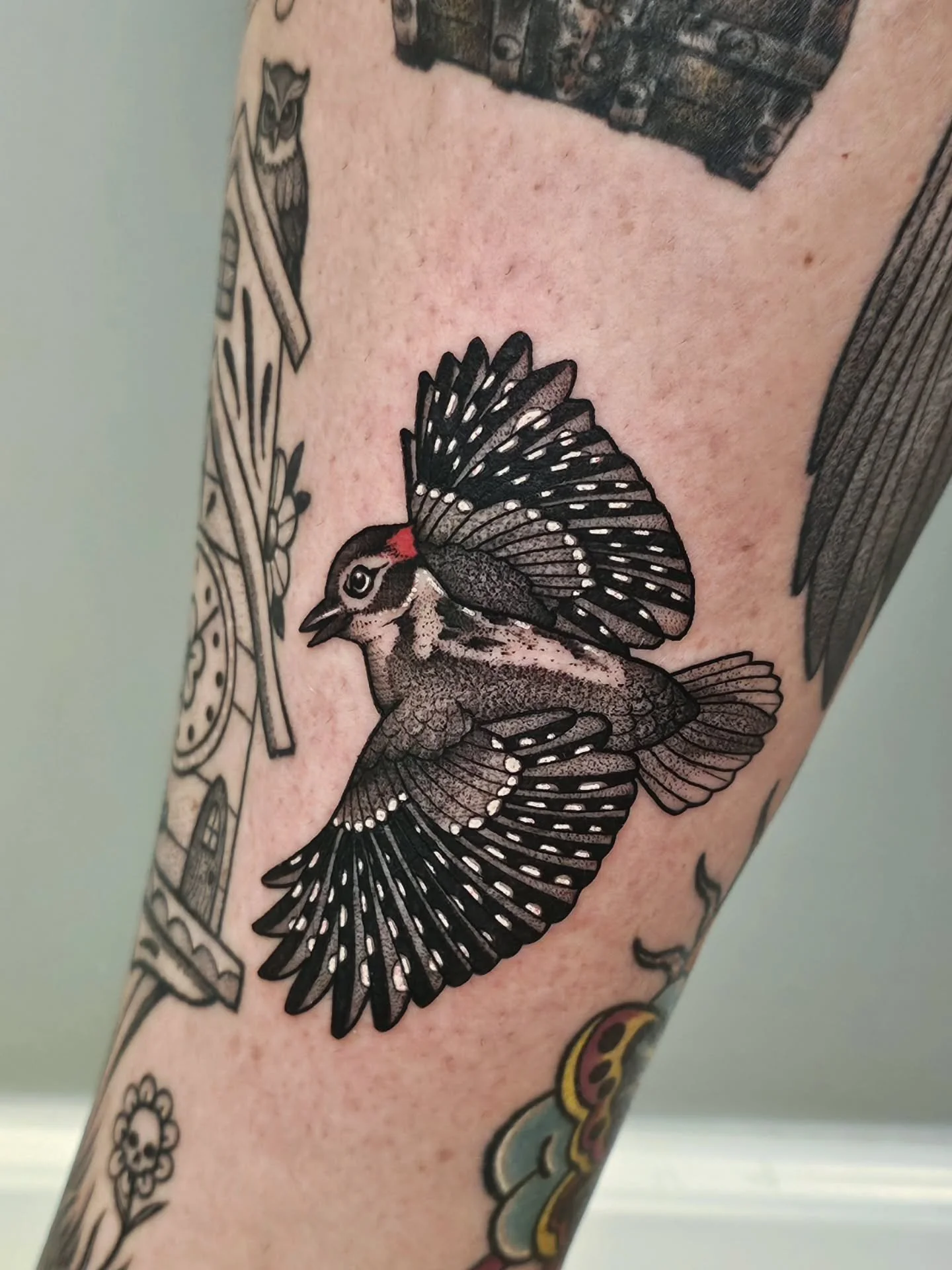 🪵 DOWNY WOODPECKER 🪵
snuck this adorable little woodpecker in the perfect spot on @shellydelo 's calf! always down for birds of any kind 😊 thank you Shelly!
● location: inner calf
● size: 4&quot;
● time: 1.5 hrs
:
#tattoo #tattoos #blackworktattoo