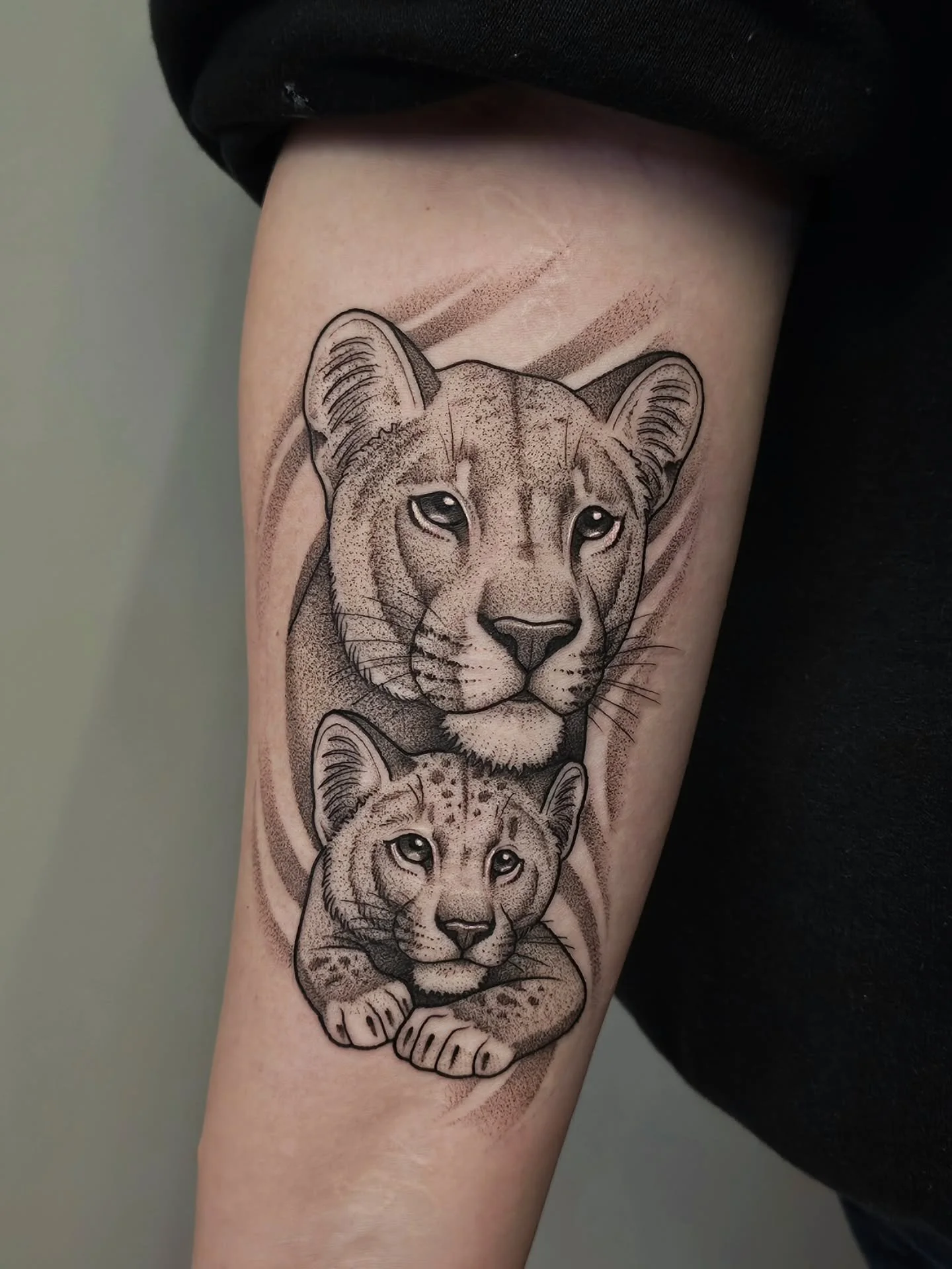 🦁 LIONS 🦁
momma lion &amp; her cub for @kiraalexiaa ♡ im so happy with how this turned out, thank you so much!
● location: inner forearm
● size: 6&quot;
● time: 2.5 hours
:
#tattoo #tattoos #liontattoo #lioncub #lioness #blackworktattoos #blackwork