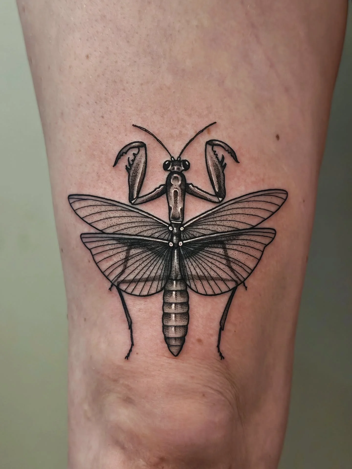 🍁 NOVEMBER COLLECTION 🍁
a handful of my favorites from last month! ✌️ keep'm coming!
:
#tattoos
#blackworktattoos #pennstate