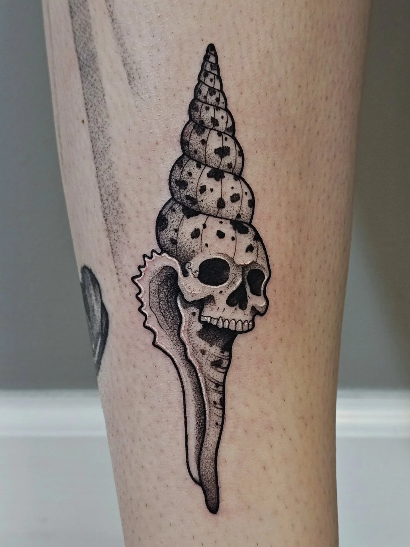 💀 SEA SKELL 🐚
thanks so much @katiebreon !!!