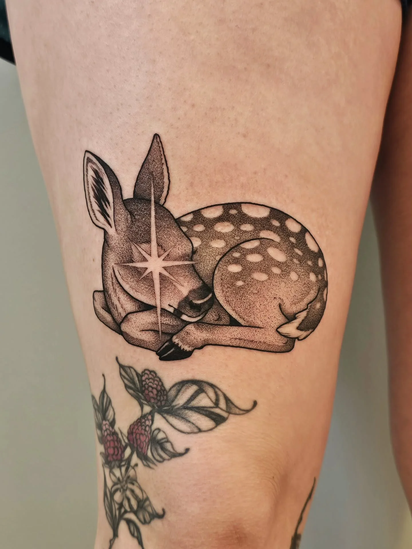 🌟 FAWN 🌟
ended this bitter cold week with the warmest, most adorable fawn for McKenna! 🦌 January has been less than kind, so here's to hoping for a better February.

BOOKS OPEN FEB 1ST @ 6PM FOR APRIL APPTS 🫶