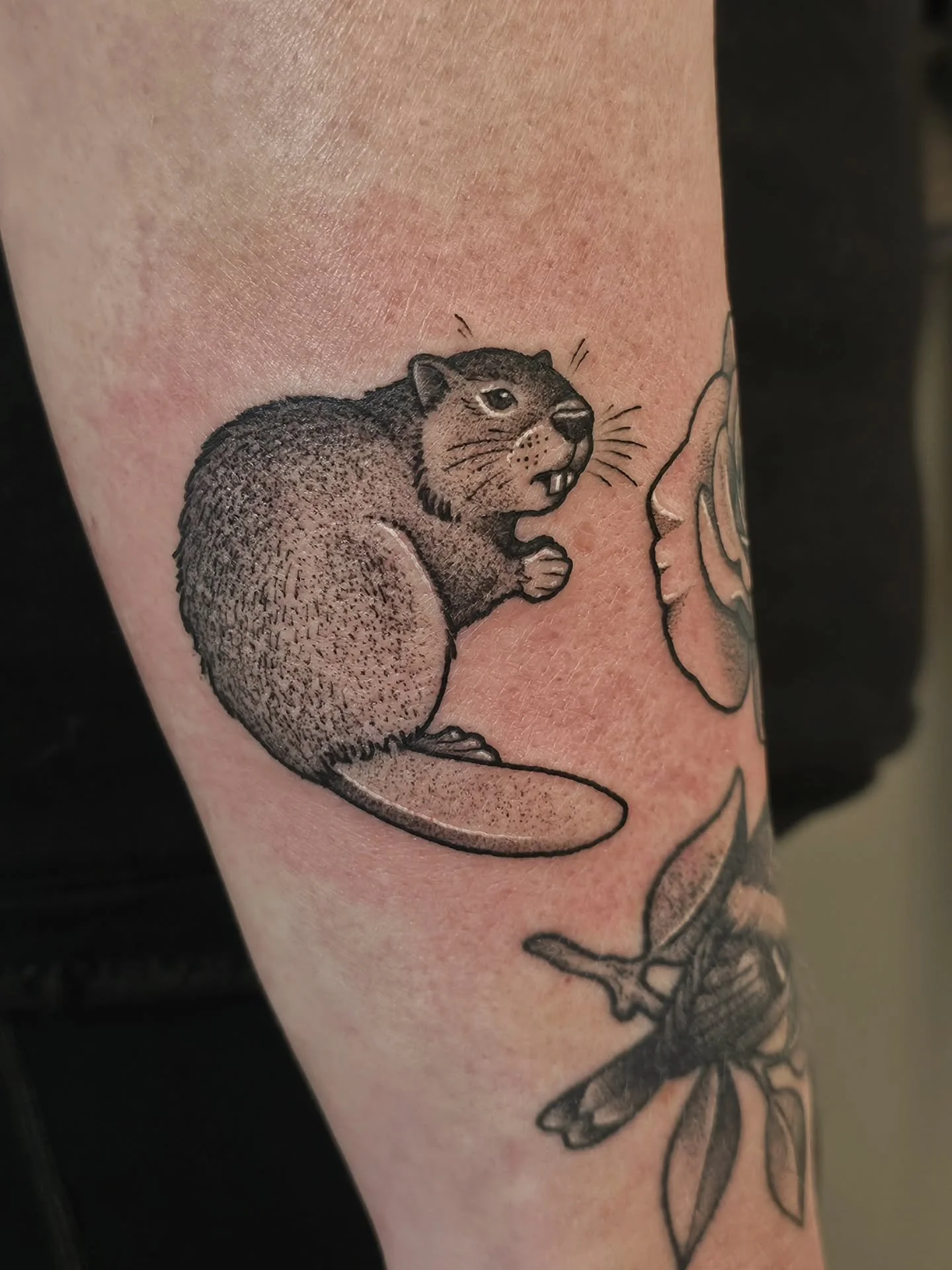 🦫 BEAVER 🦫
did this little cutie for @jessica_lee224 last week! always thrilled to do animals of any kind 😊
● location: outer forearm
● size: 2.5"
● time: 1 hr
#blackworktattoos #beaver #beavertattoo