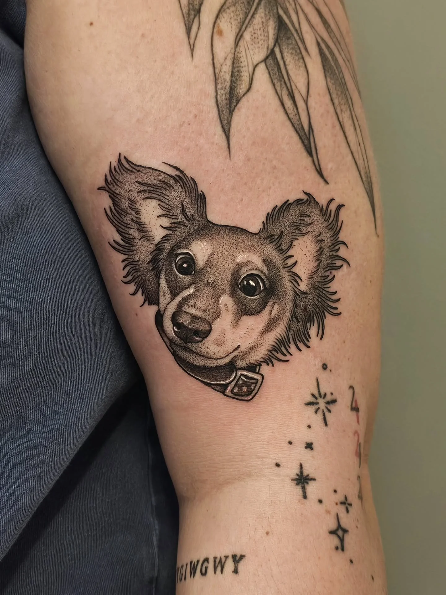 🌭 DACHSHUND 🌭
I cant believe i forgot to post this adorable little beeeb from a few weeks ago - thank you so much Kendra!

*other tattoos not by me*

☆BOOKS OPEN MAY 1ST FOR JULY APPTS☆

#dachshundtattoo #dachshund #petportrait #pennstate #blackwor
