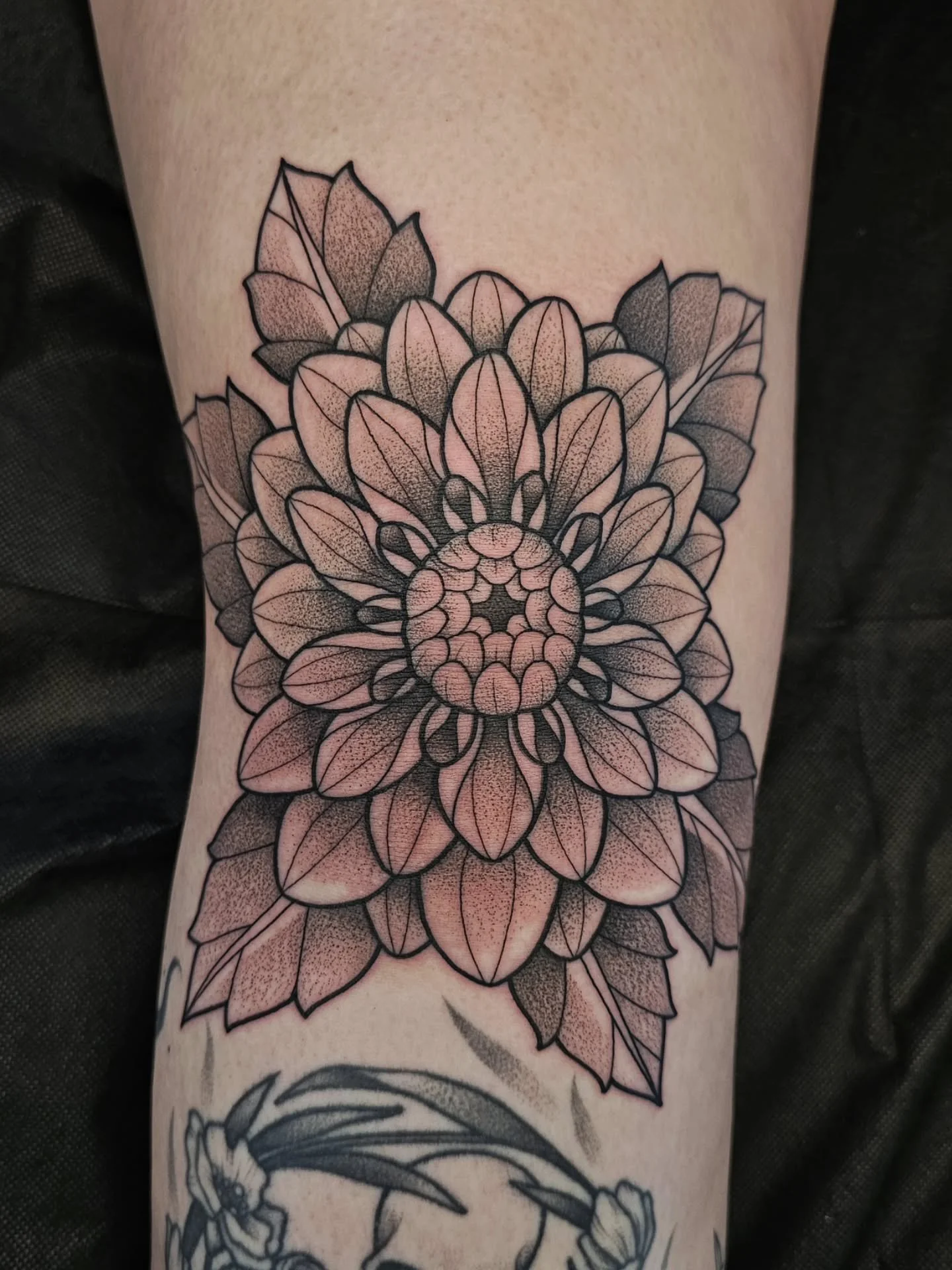 🌱 MARCH DUMP 🌱
a handful of my favorite designs from March! thank you all for your continued support, keeping me busy, liking, commenting - all of it! makes it all worth it 💖 cheers to spring 🥂

☆ BOOKS OPEN MAY 1ST FOR JULY APPTS ☆

#blackworkta