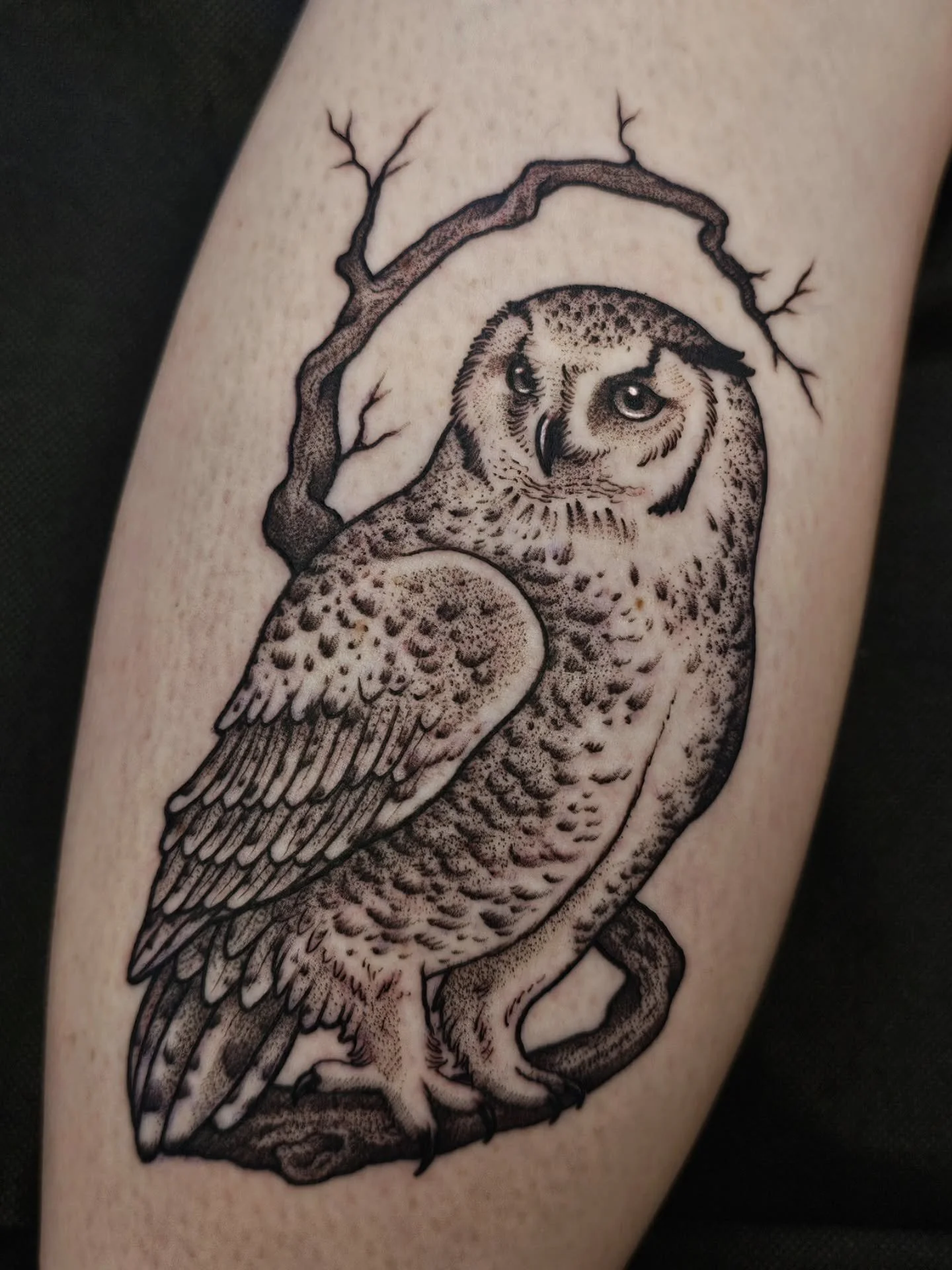 ❄️ SNOWY OWL ❄️
thank you so much Gwen! gonna go watch Harry potter now.

☆ BOOKS OPEN MAY 1st FOR JULY APPTS ☆

#snowyowl #owltattoo #blackworktattoos #animaltattoo #pennstate
